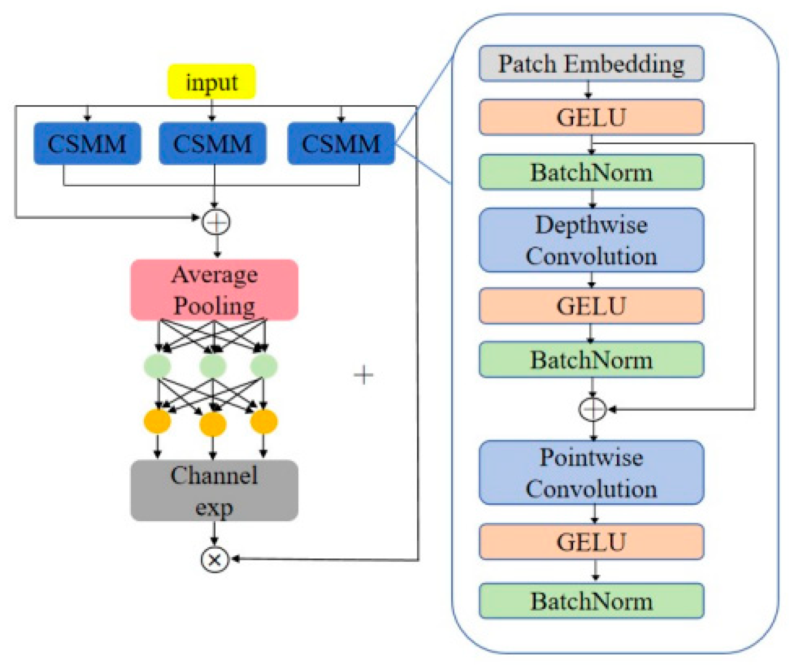 Plants 13 02402 g016