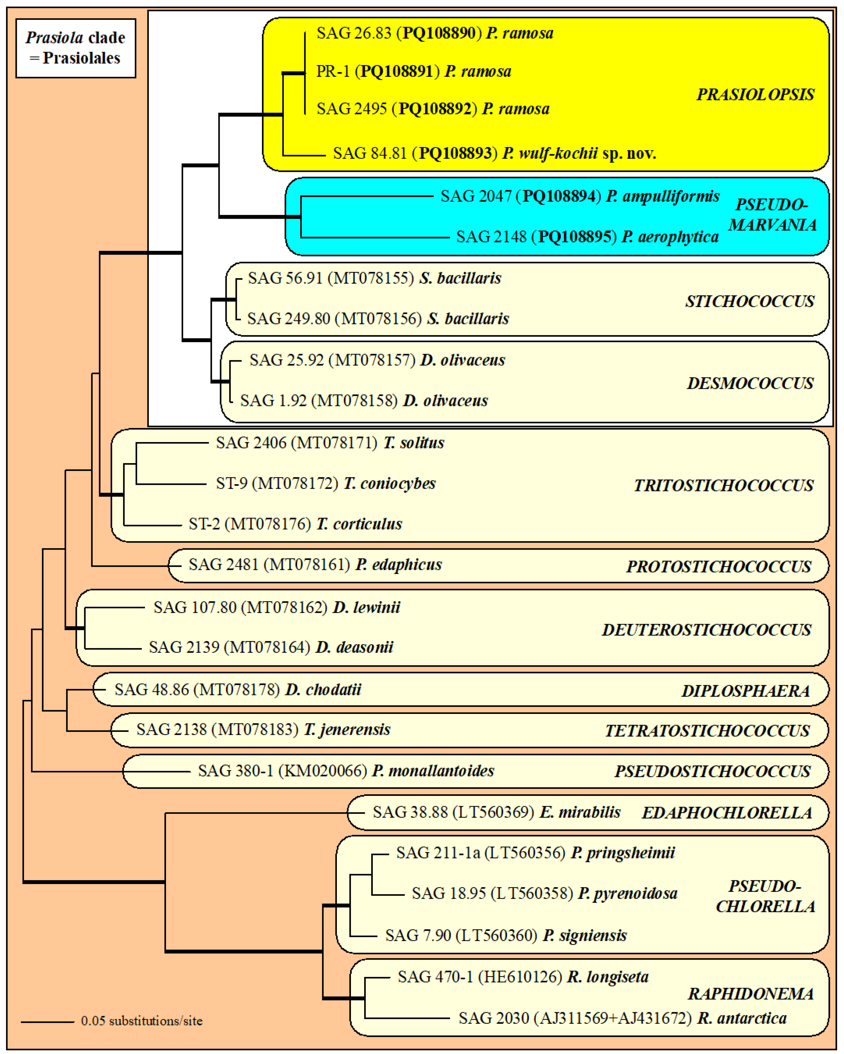 Plants 13 02405 g001