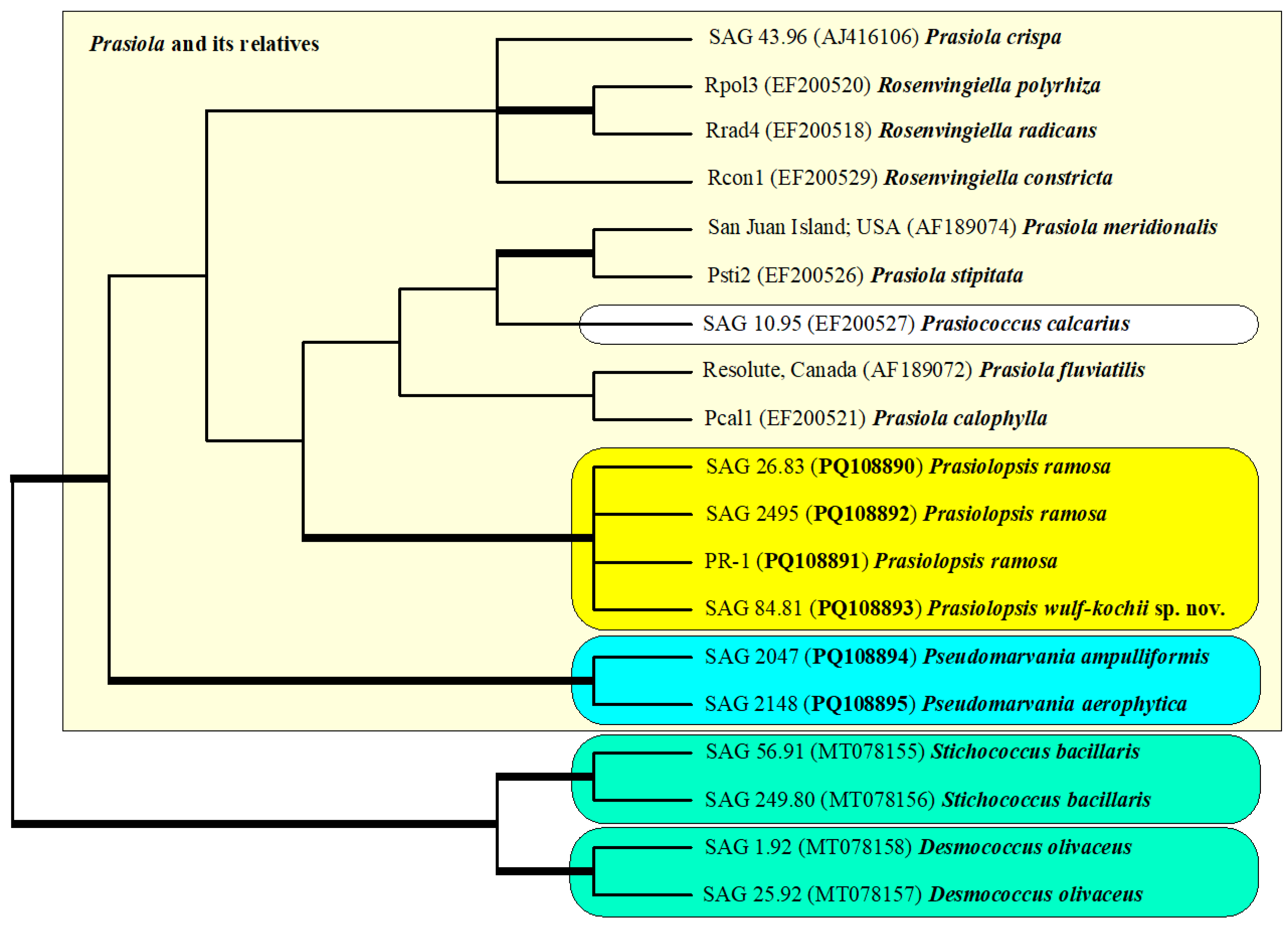 Plants 13 02405 g002