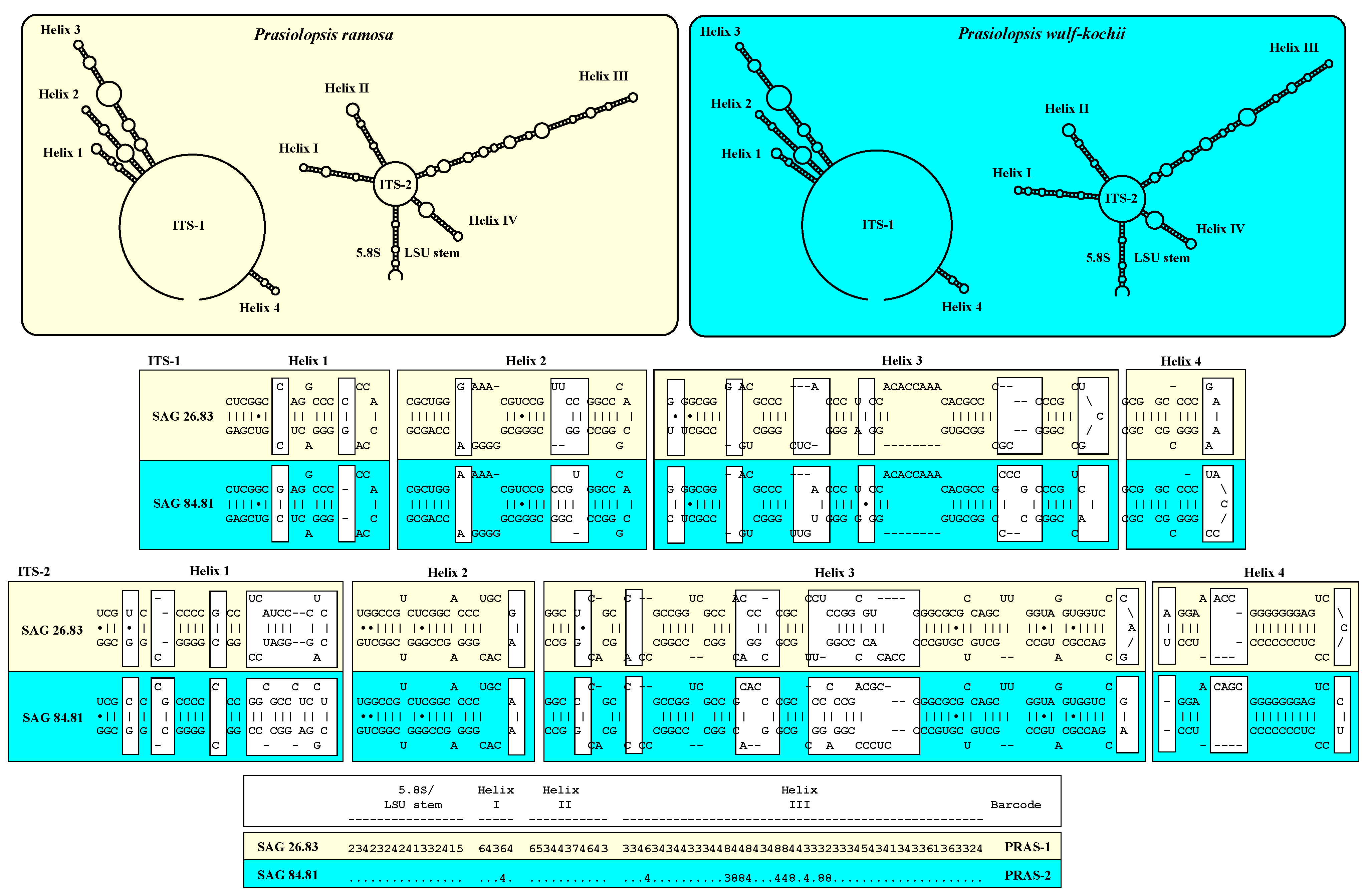 Plants 13 02405 g003