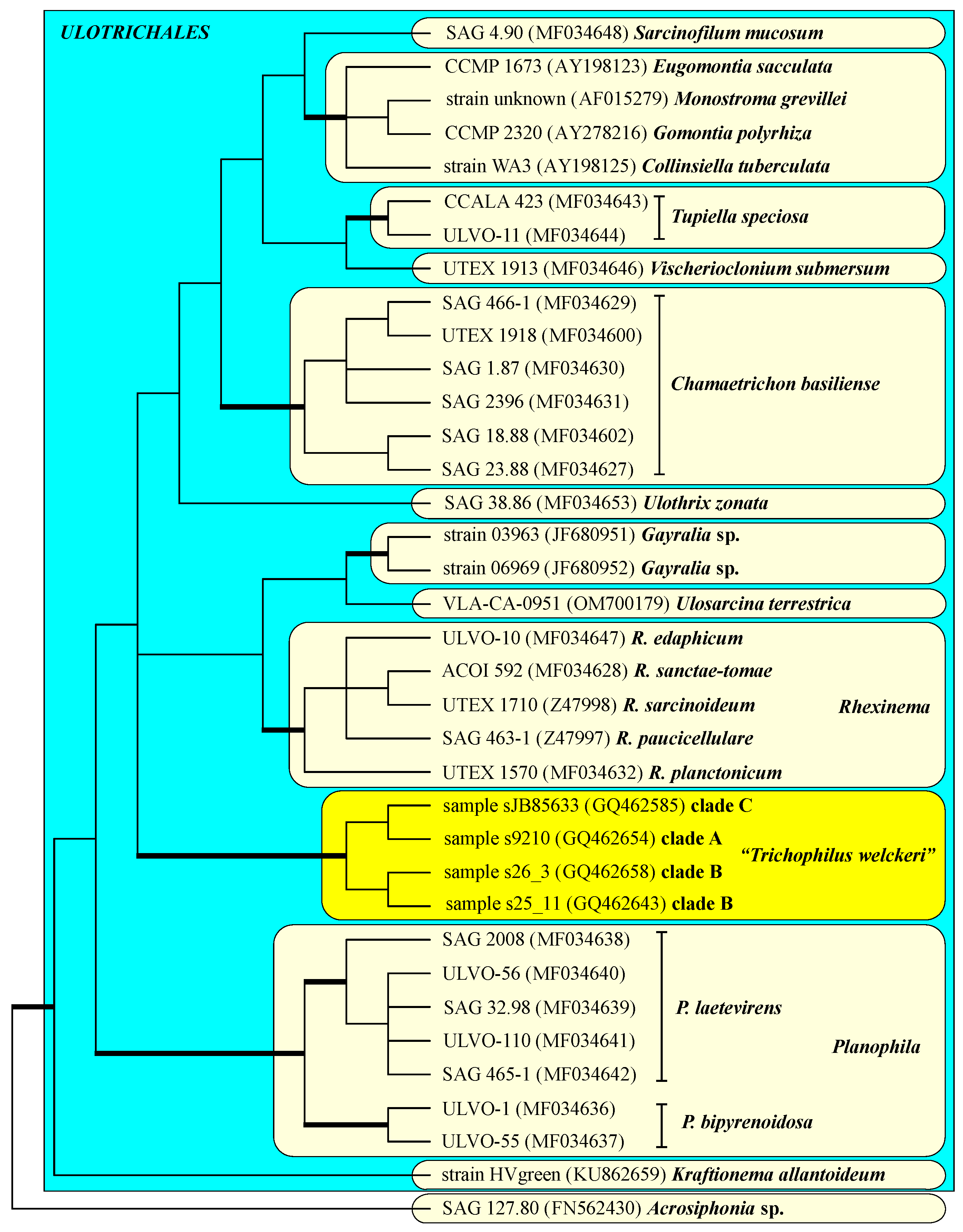 Plants 13 02405 g007
