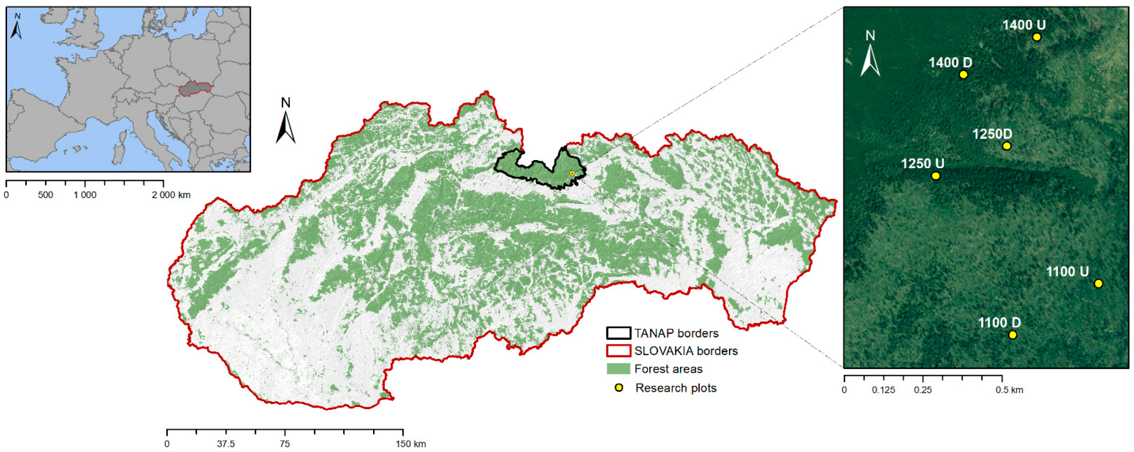 Plants 13 02406 g001