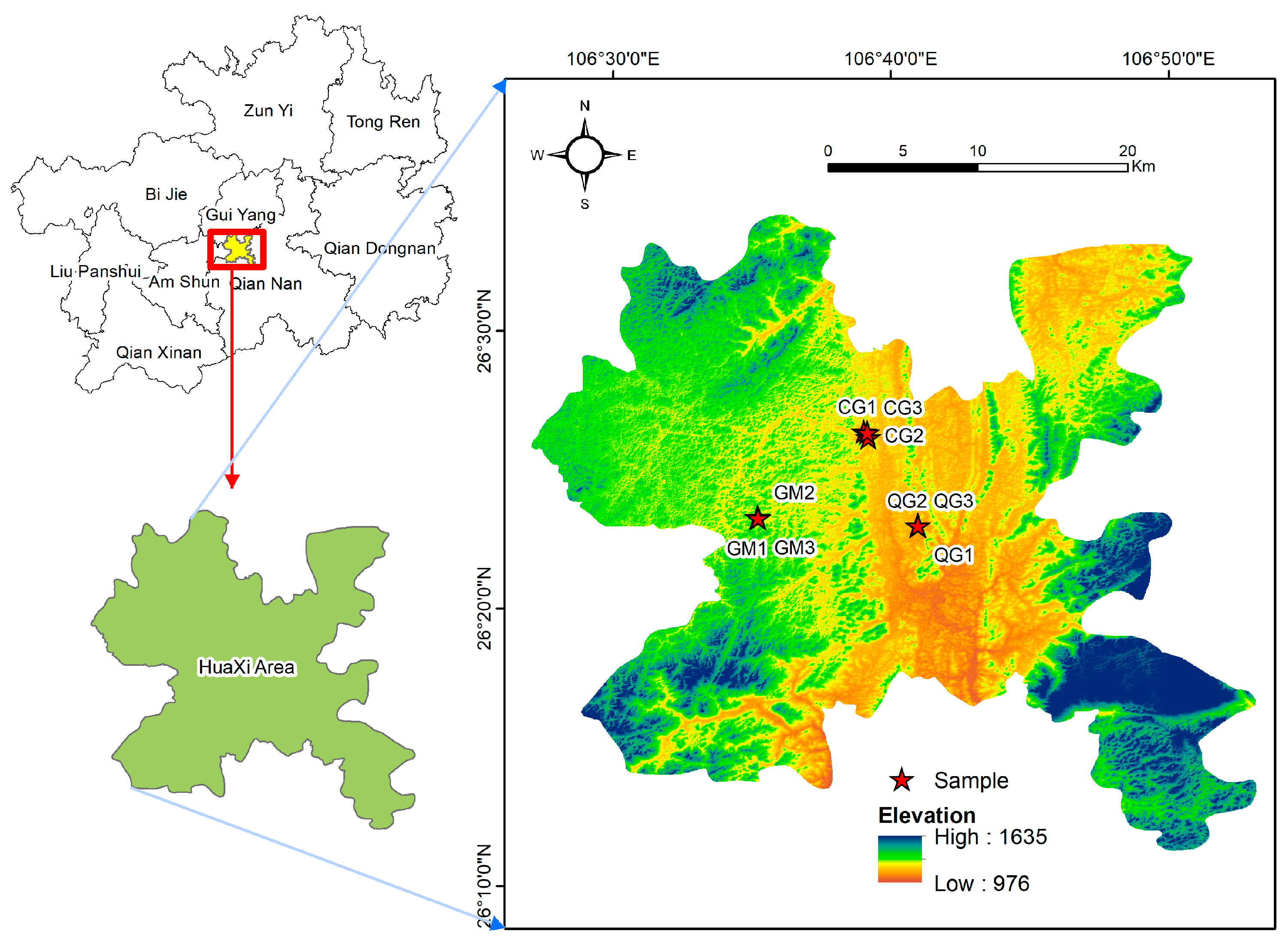 Plants 13 02407 g001