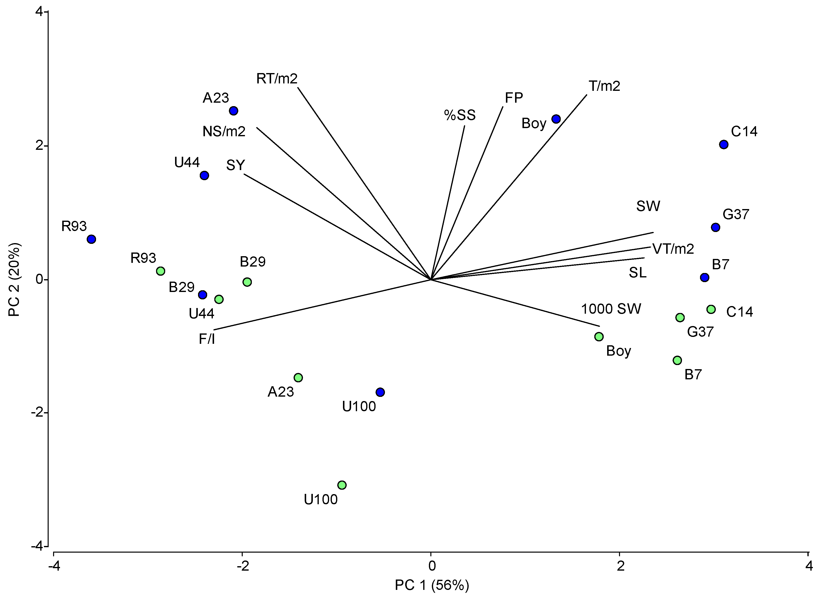 Plants 13 02411 g005