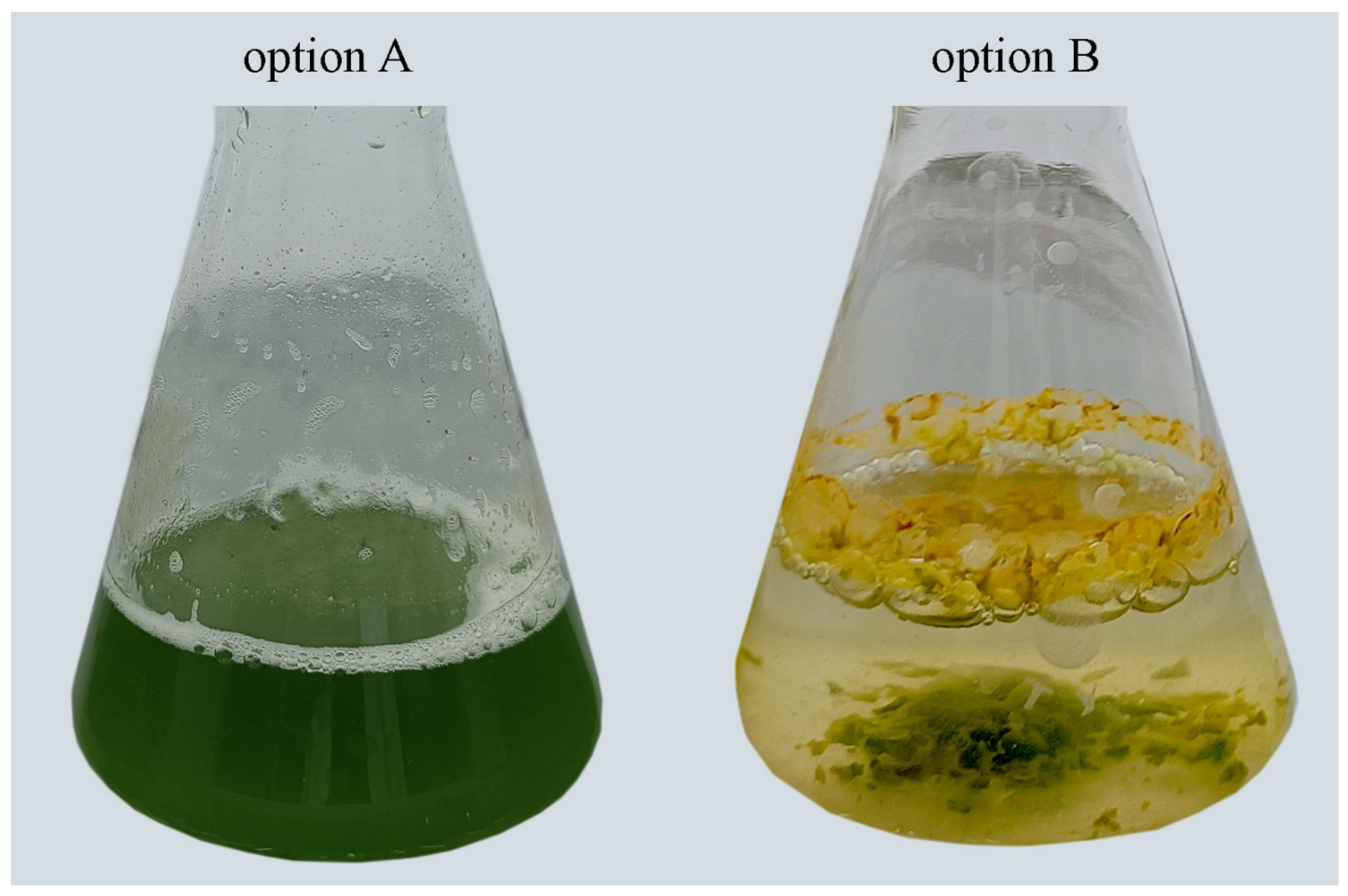 Plants 13 02413 g002