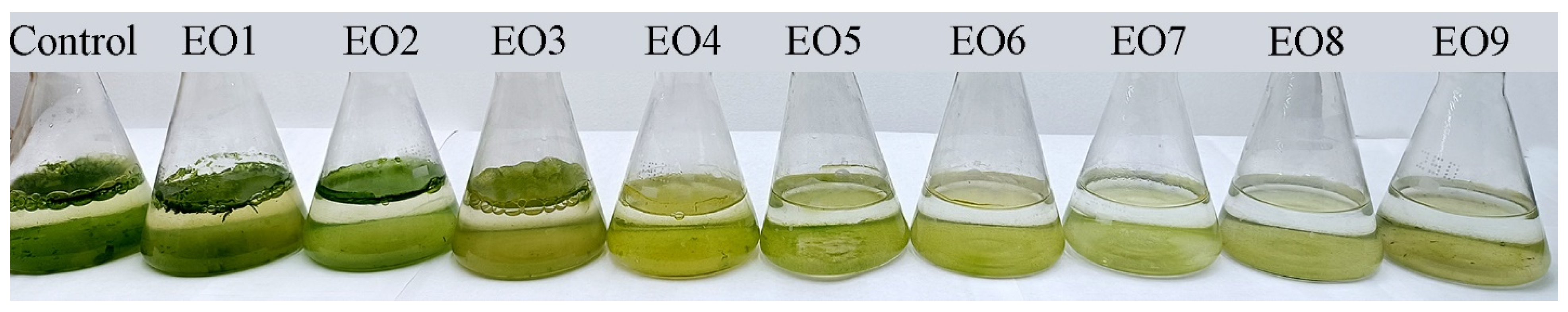 Plants 13 02413 g003