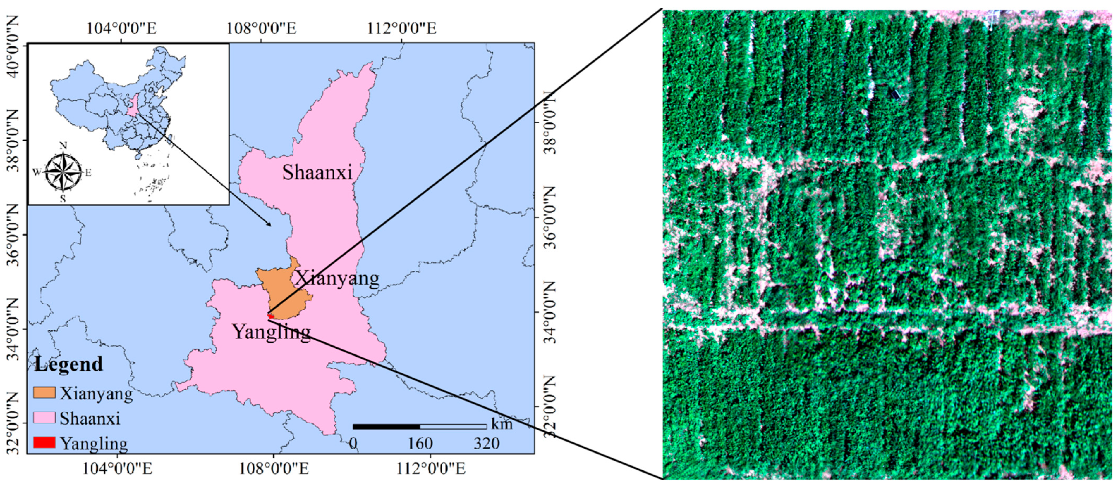 Plants 13 02417 g001