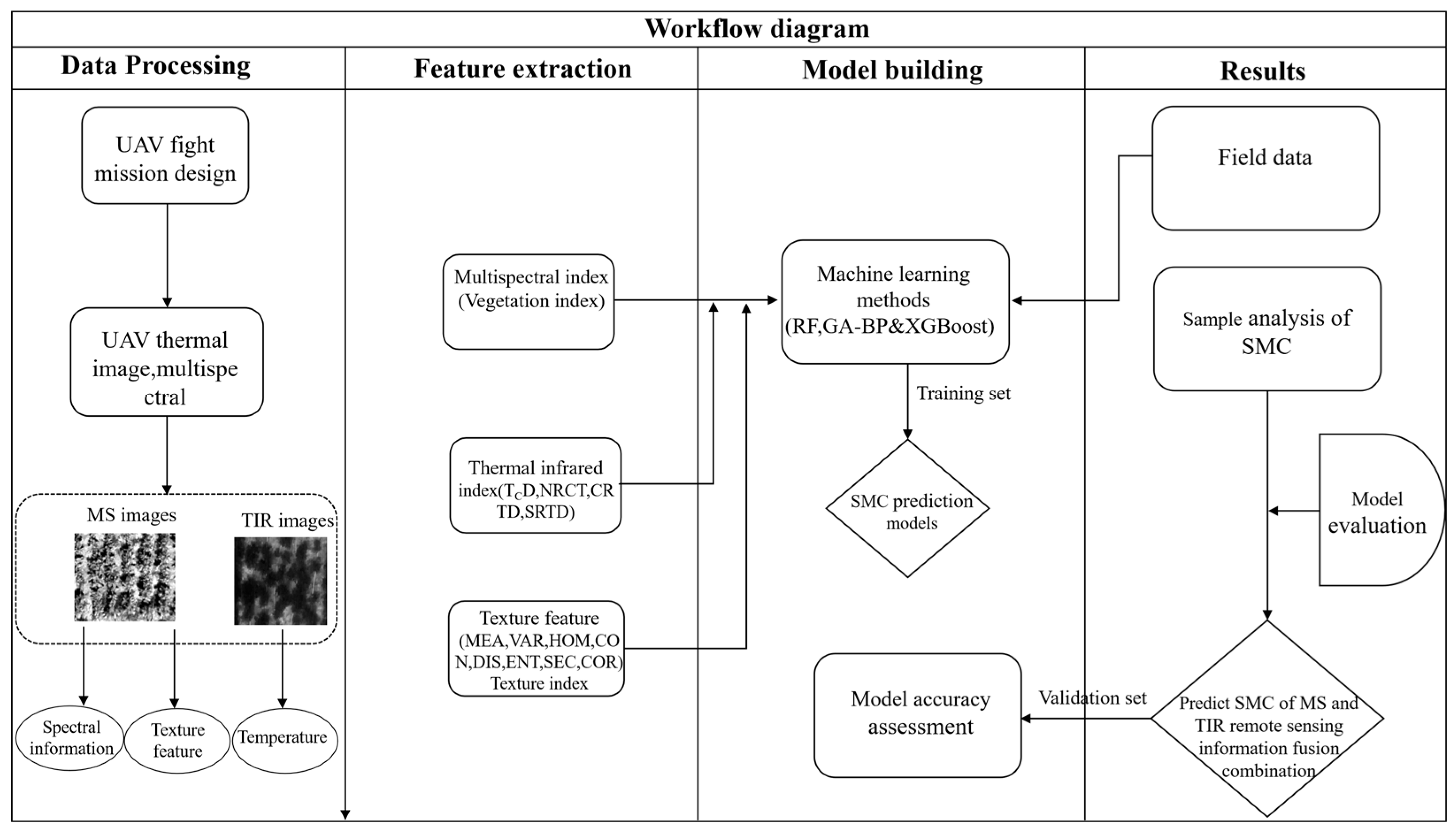 Plants 13 02417 g003