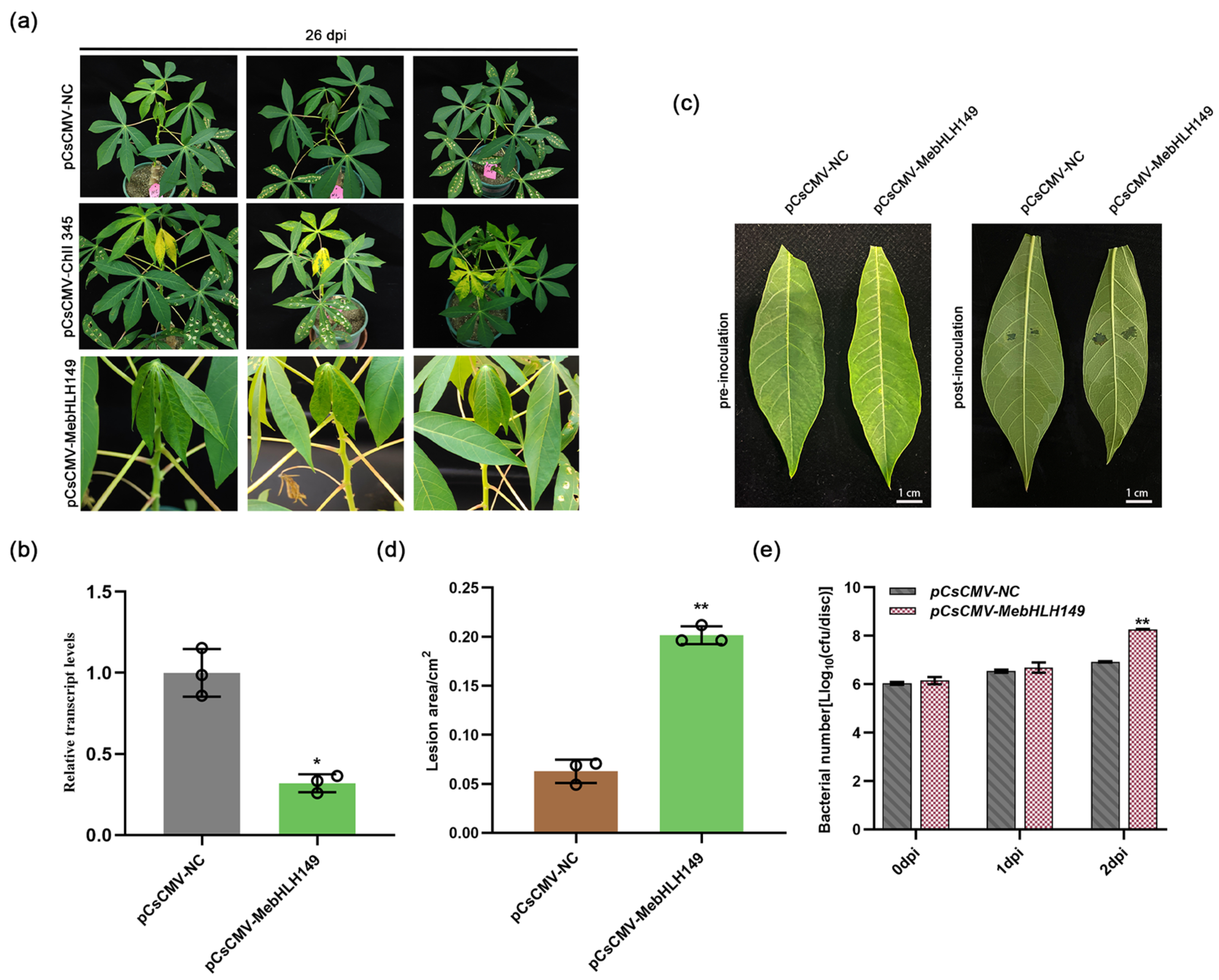 Plants 13 02422 g003