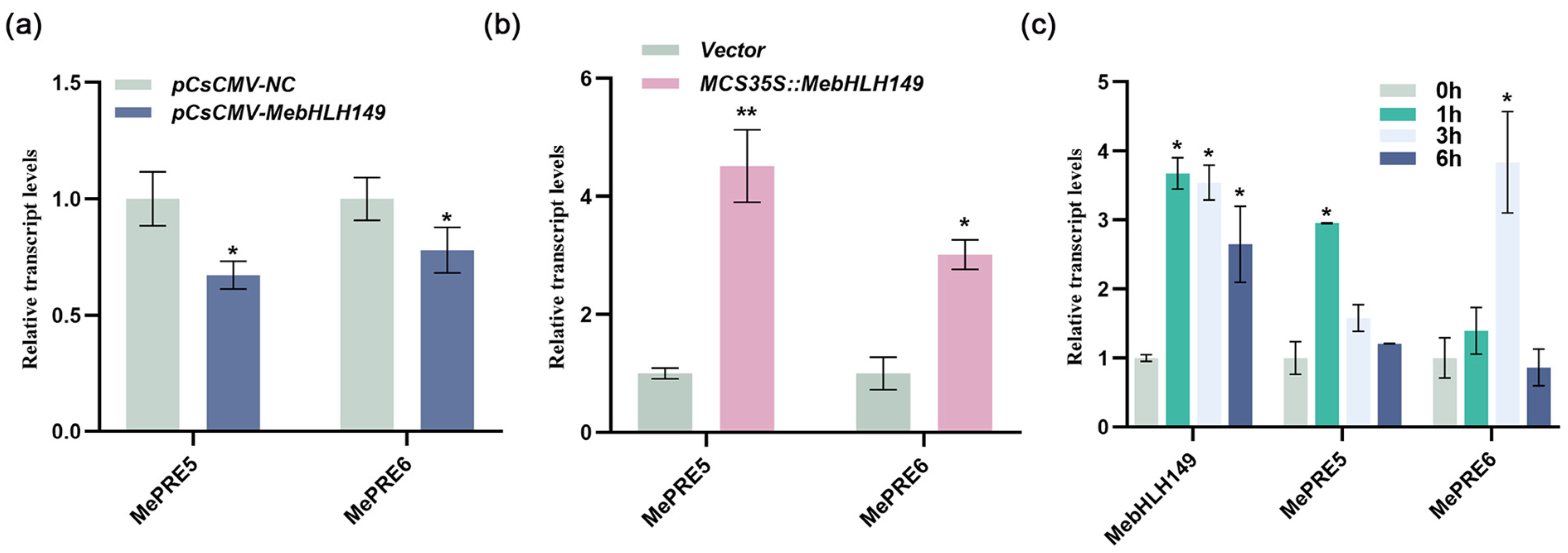 Plants 13 02422 g006