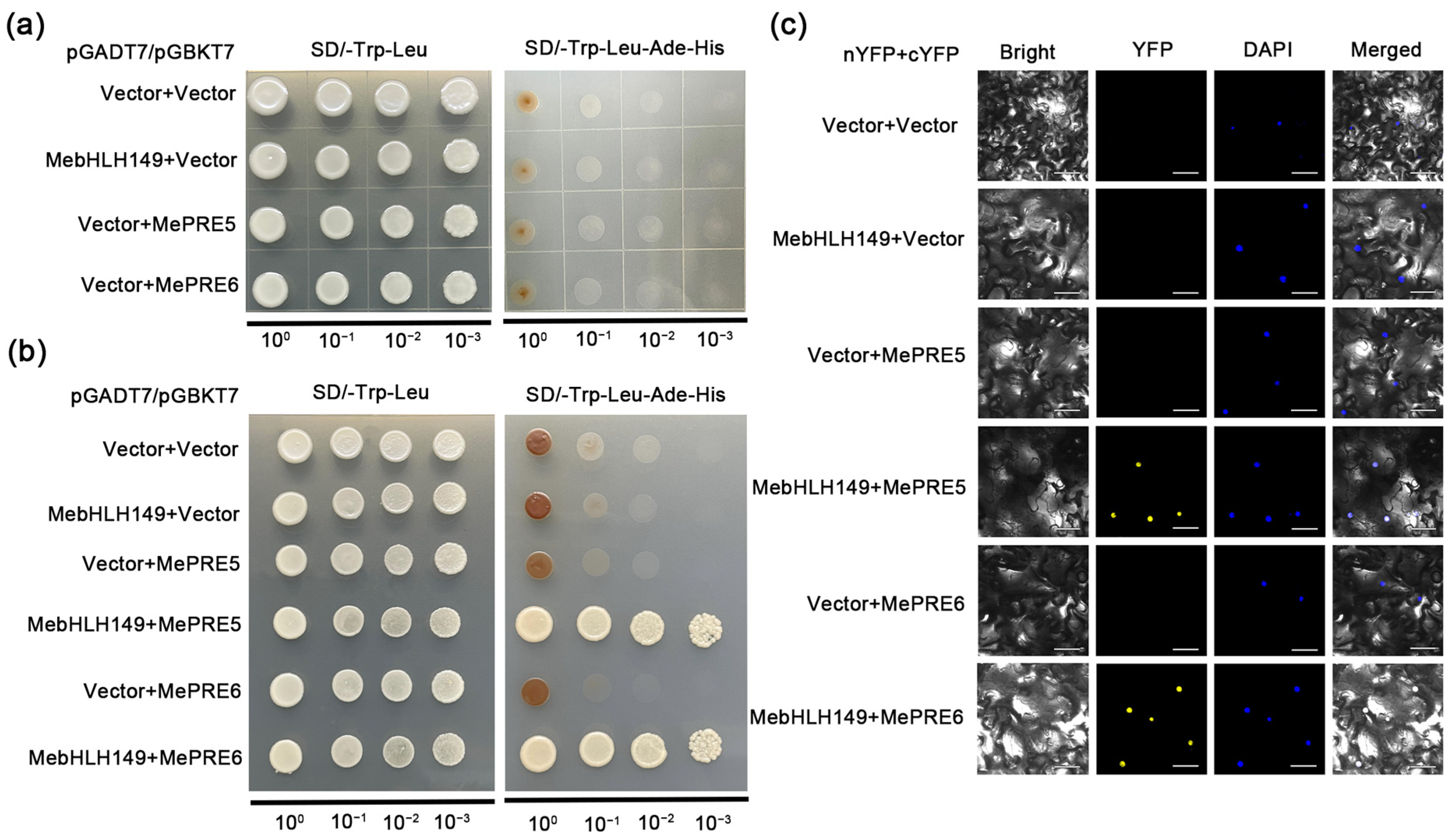 Plants 13 02422 g007