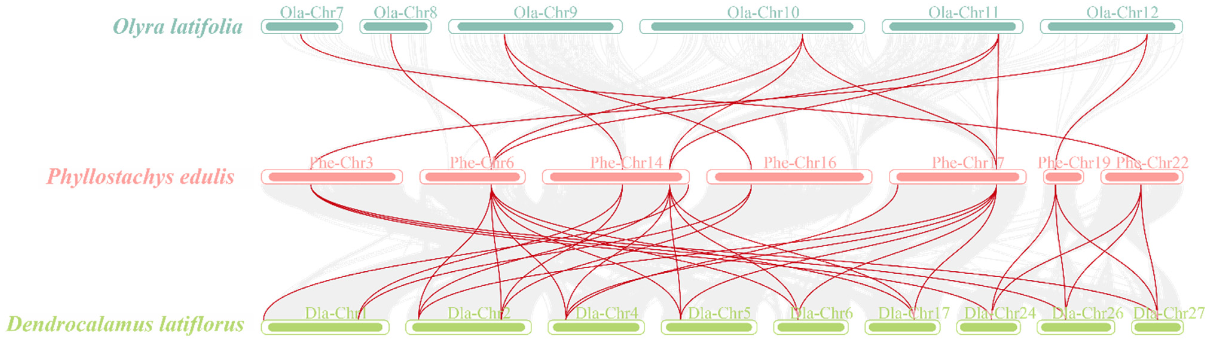 Plants 13 02426 g005