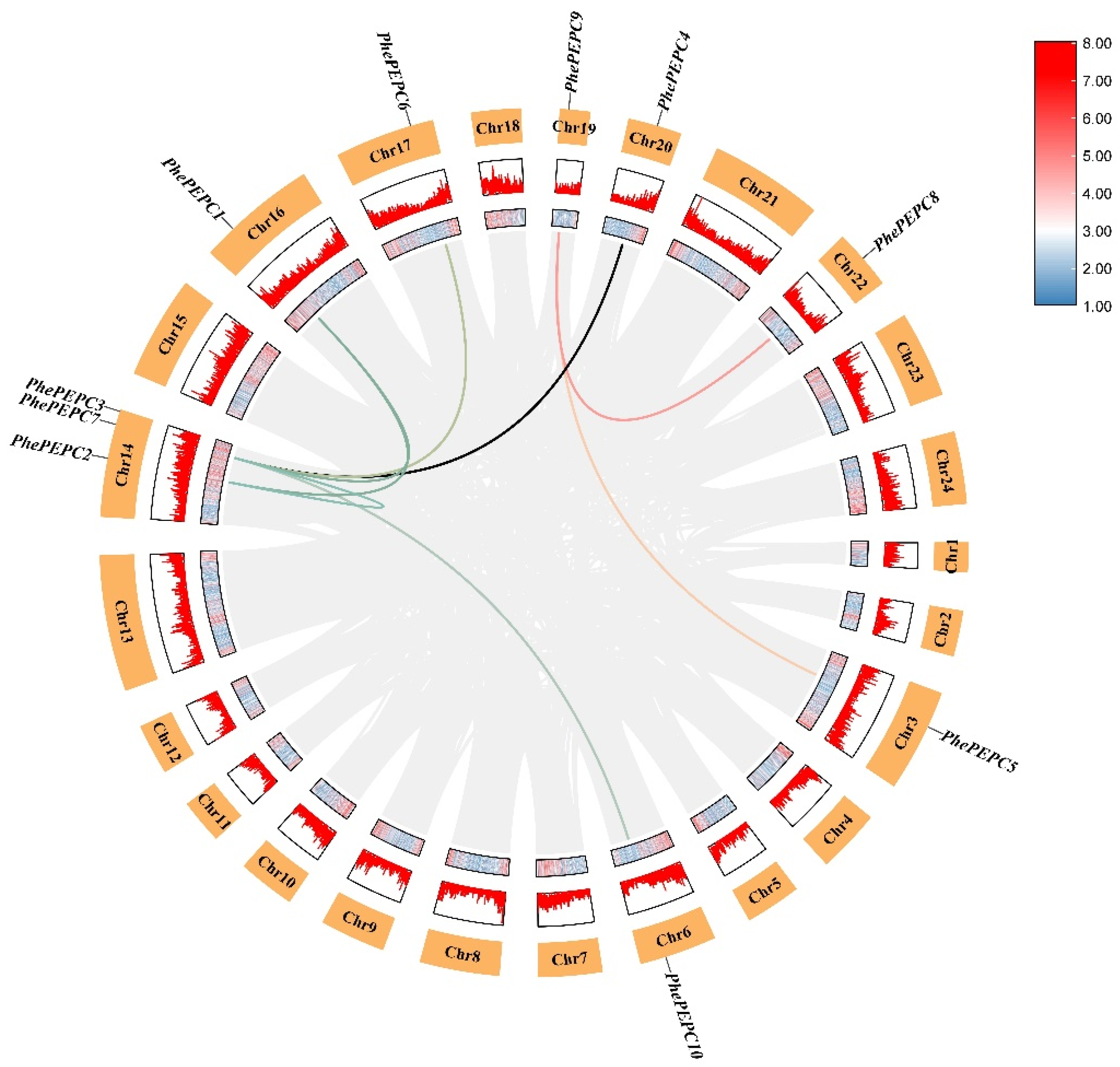 Plants 13 02426 g006