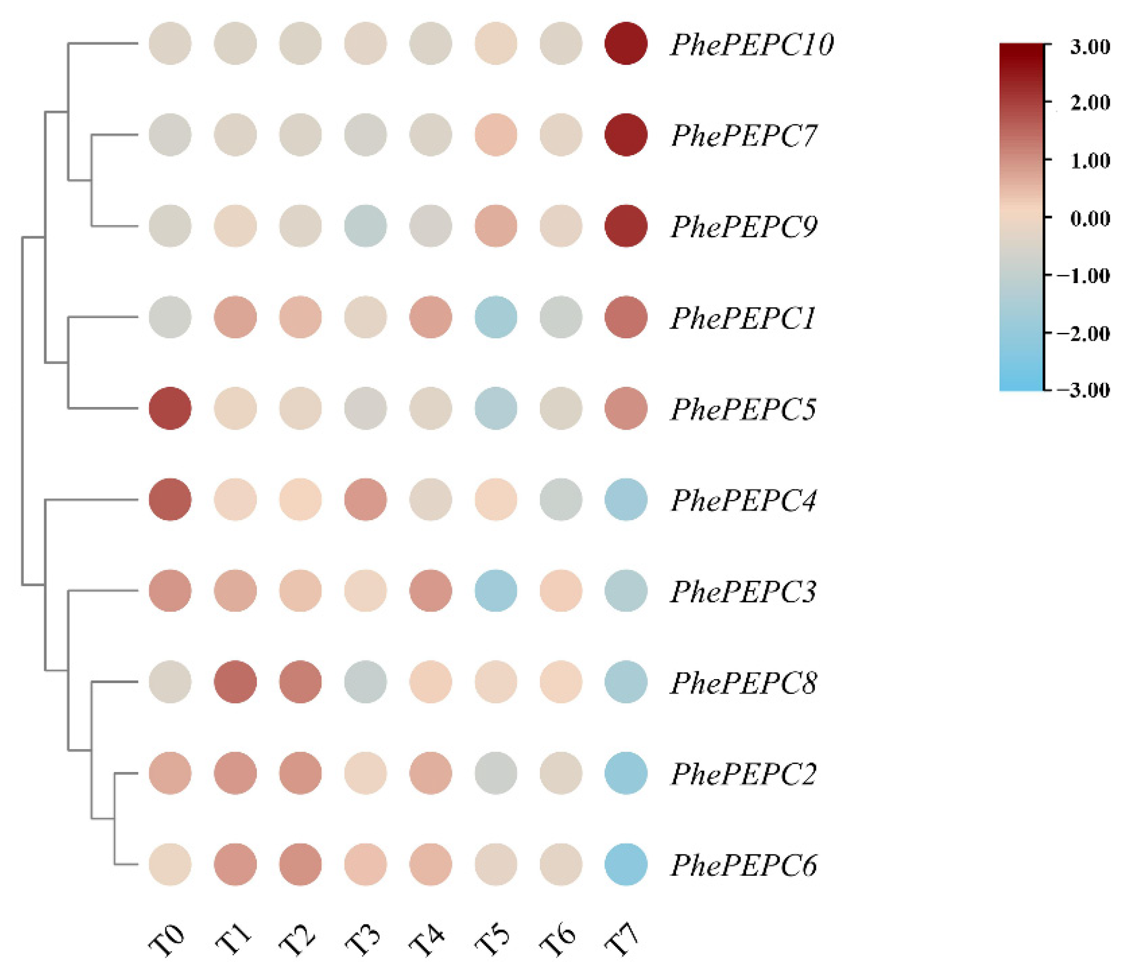 Plants 13 02426 g007