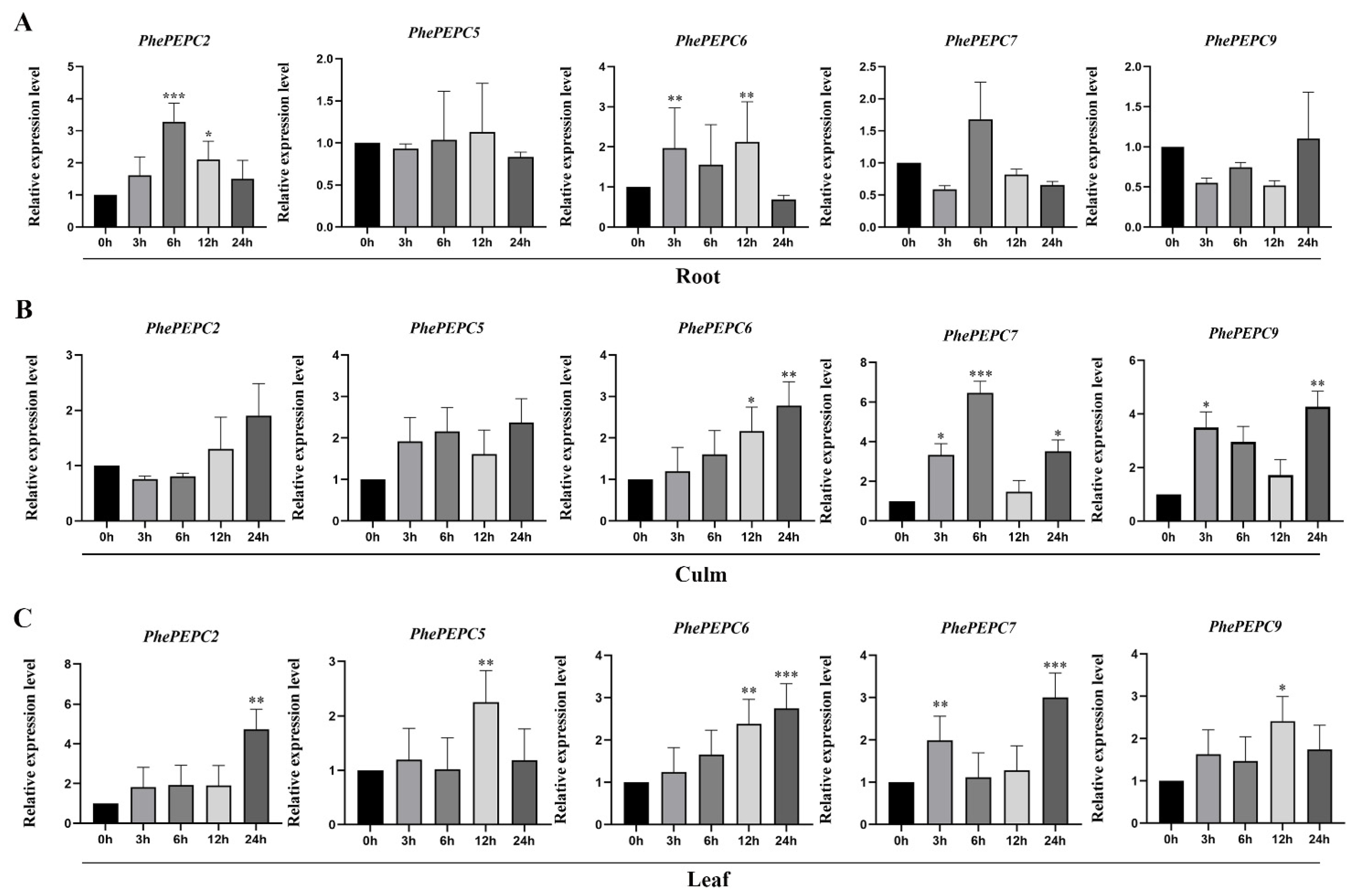 Plants 13 02426 g010