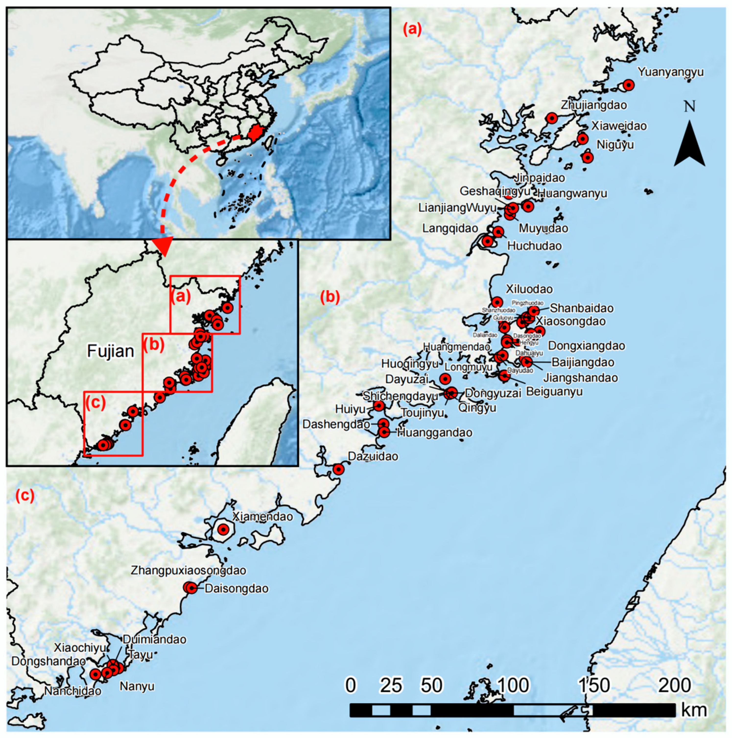 Plants 13 02437 g001