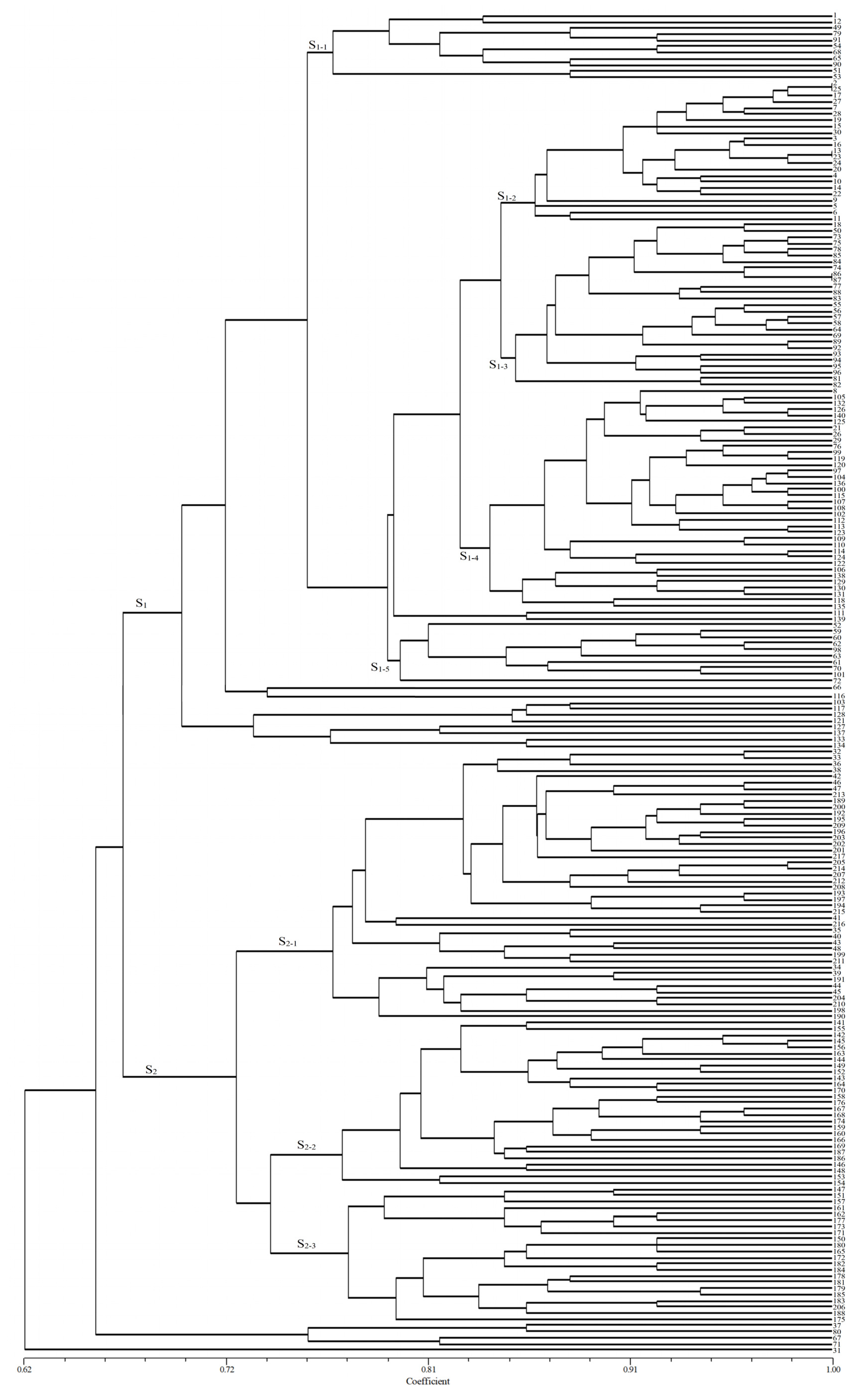 Plants 13 02438 g002