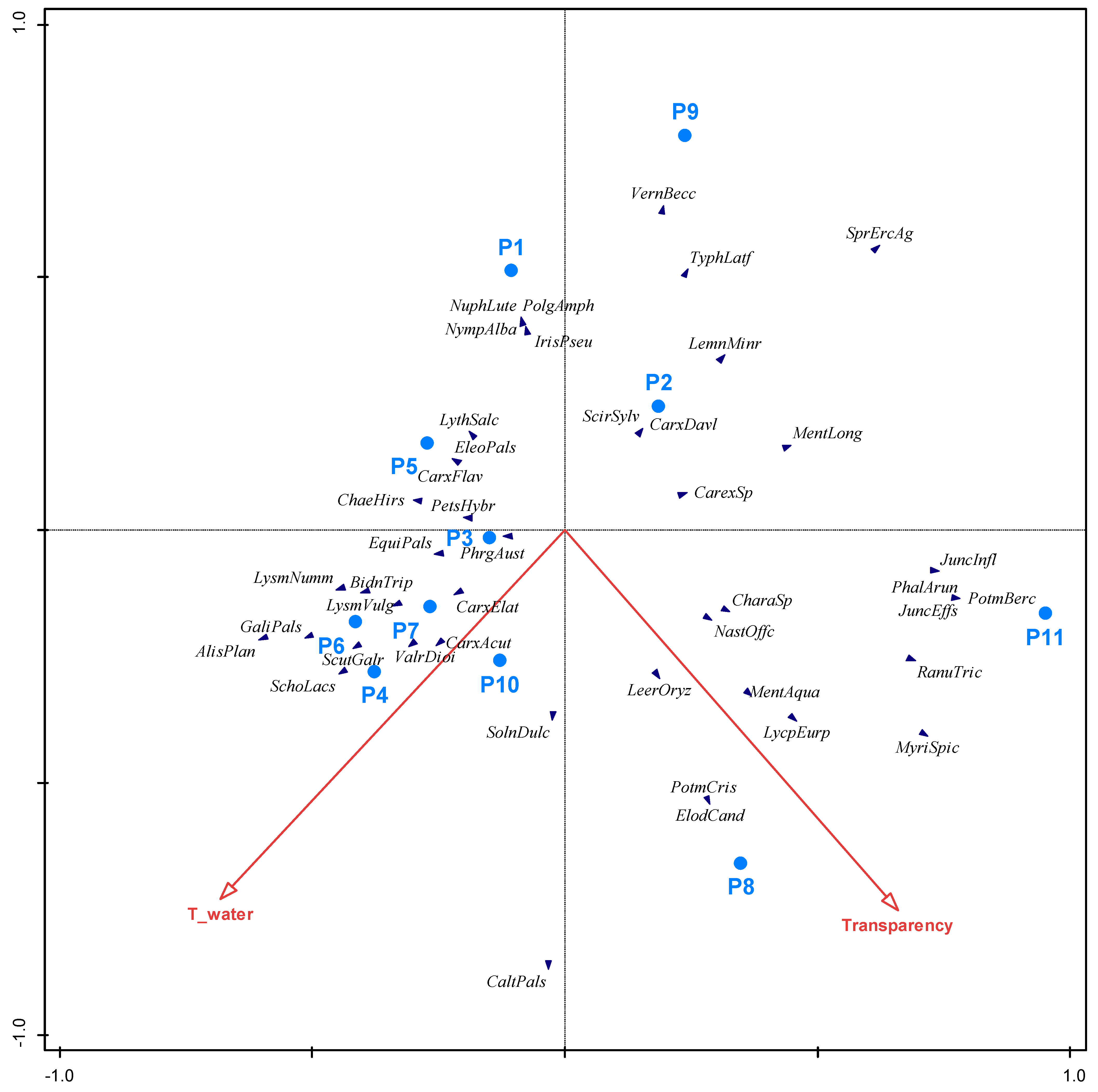Plants 13 02439 g006