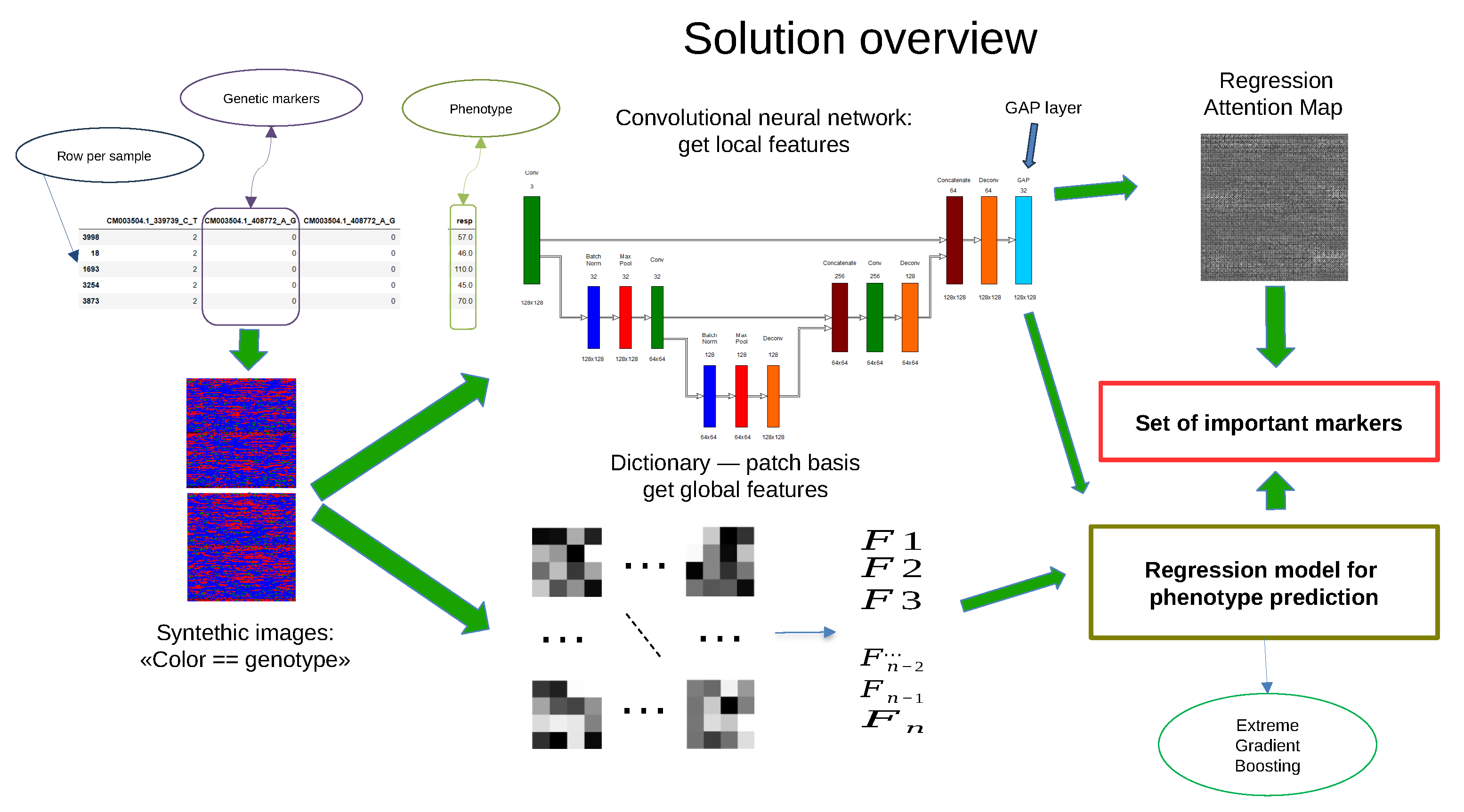 Plants 13 02444 g001
