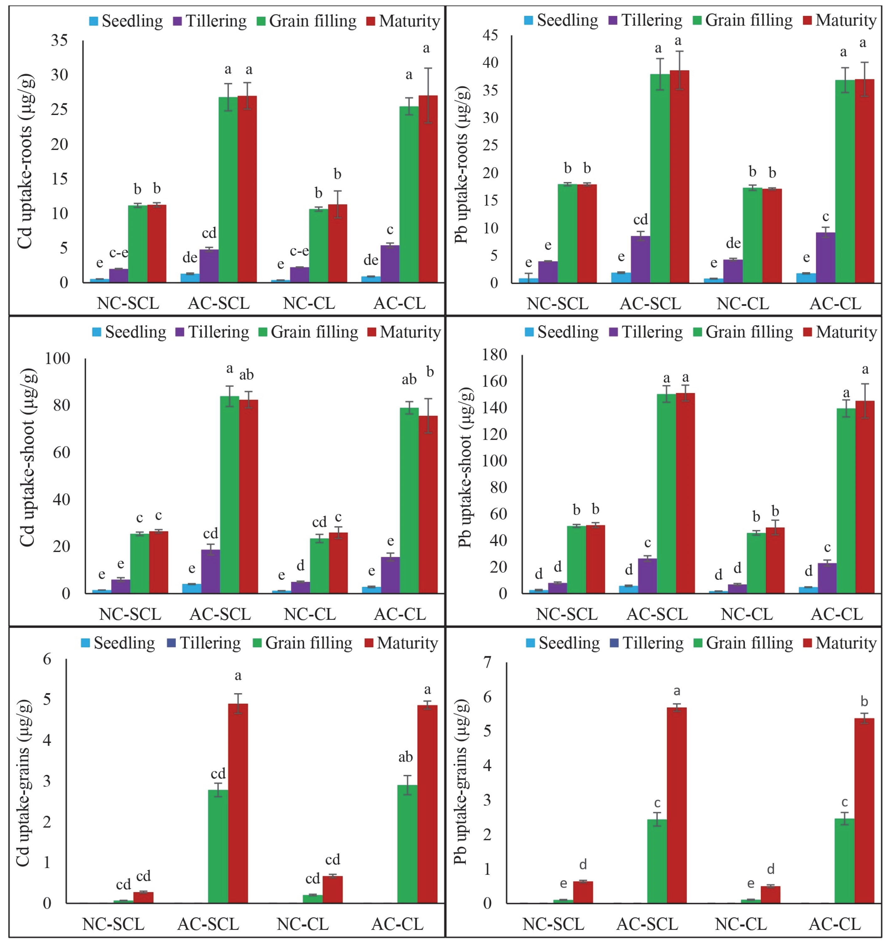 Plants 13 02445 g002