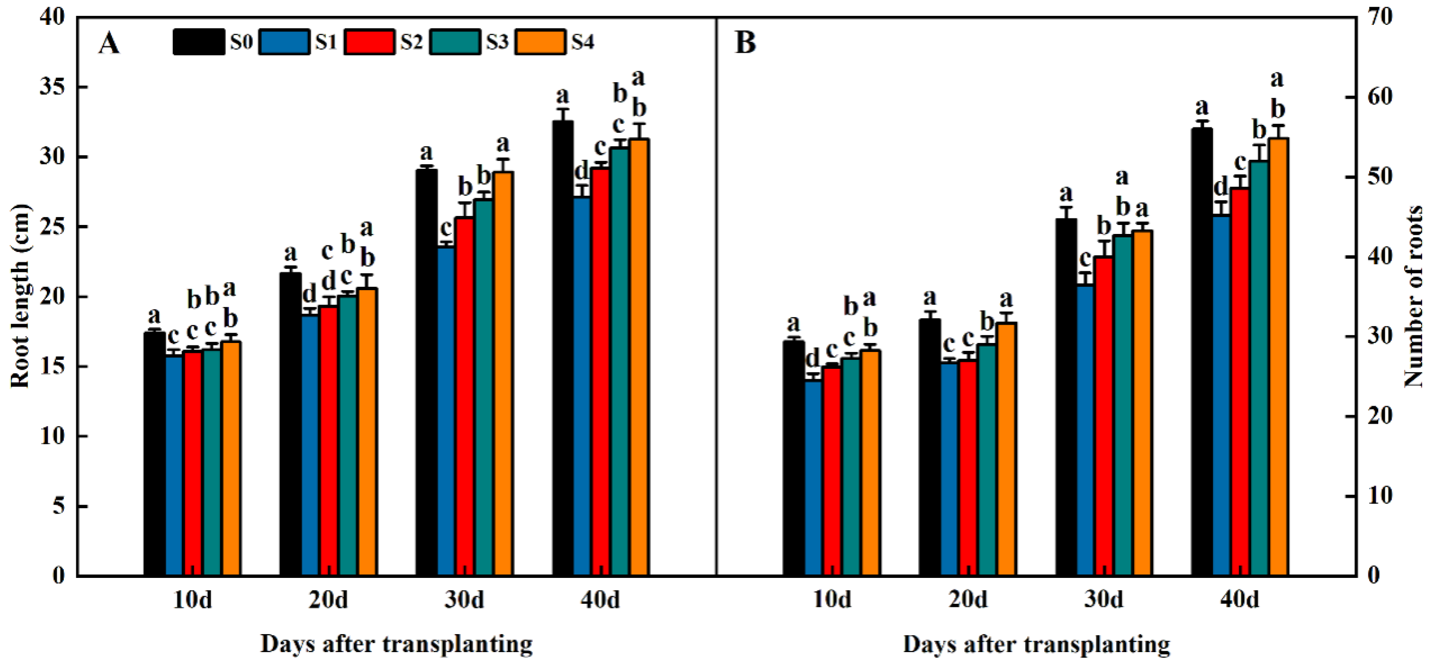 Plants 13 02446 g007