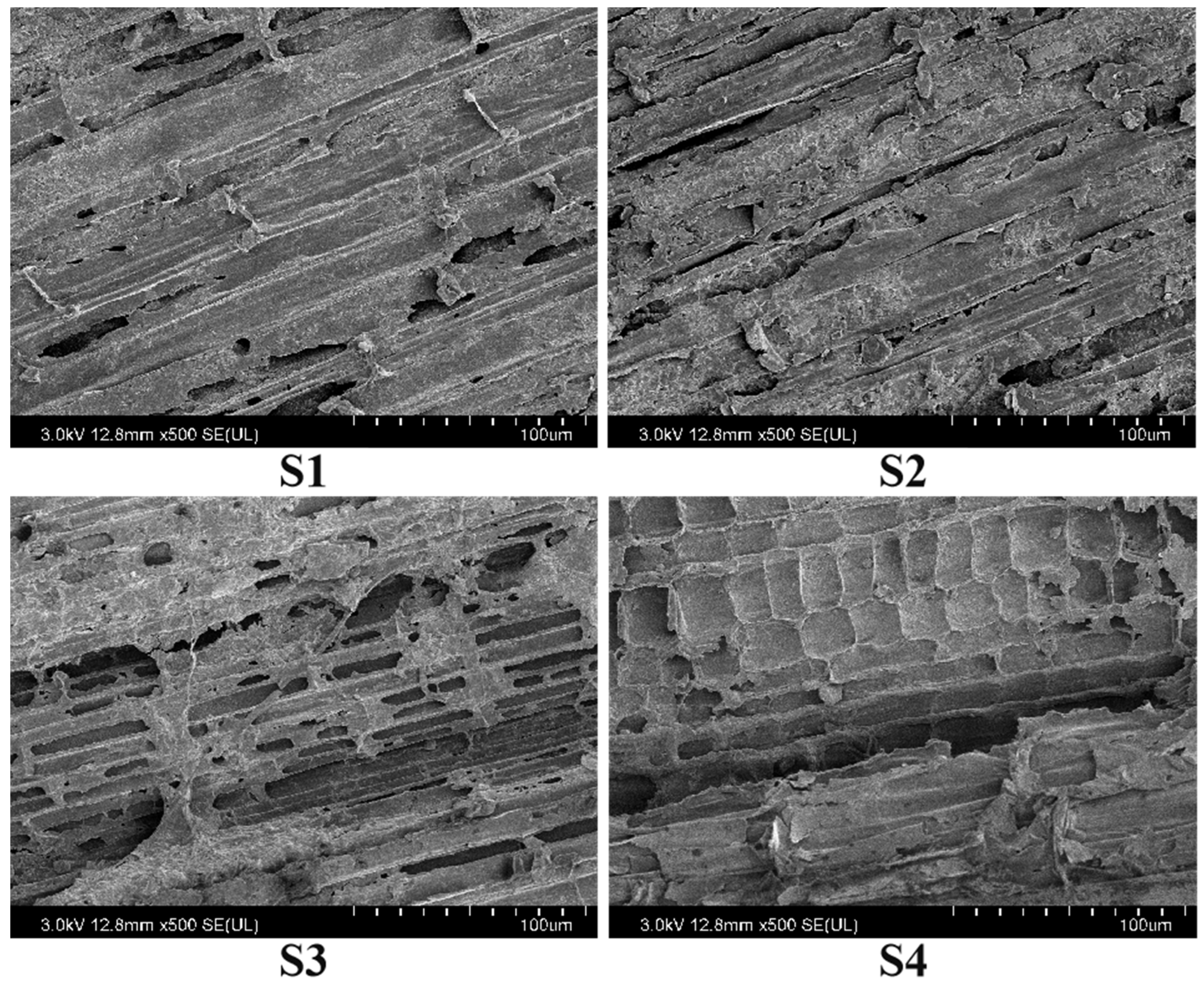 Plants 13 02446 g010