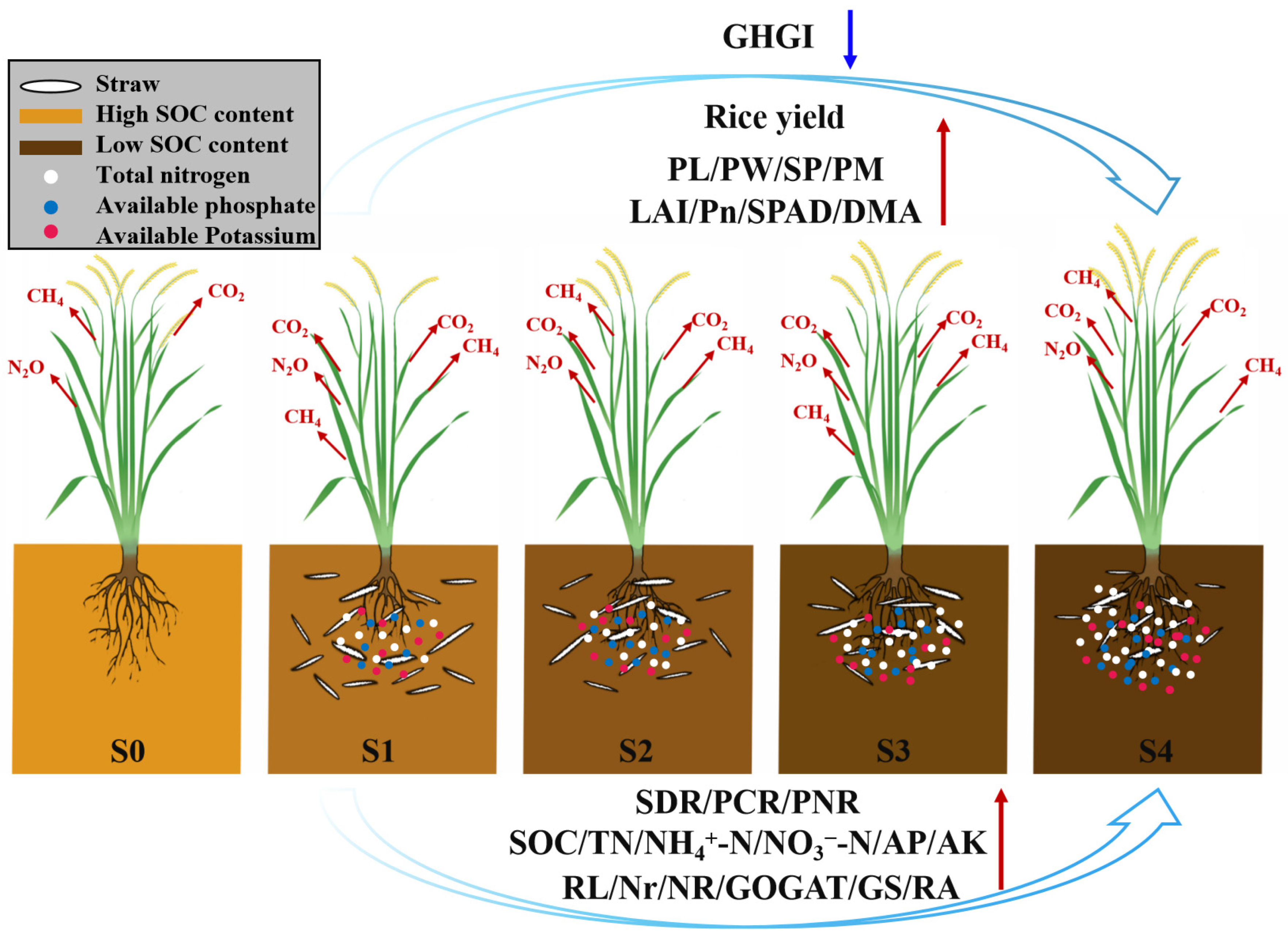Plants 13 02446 g014