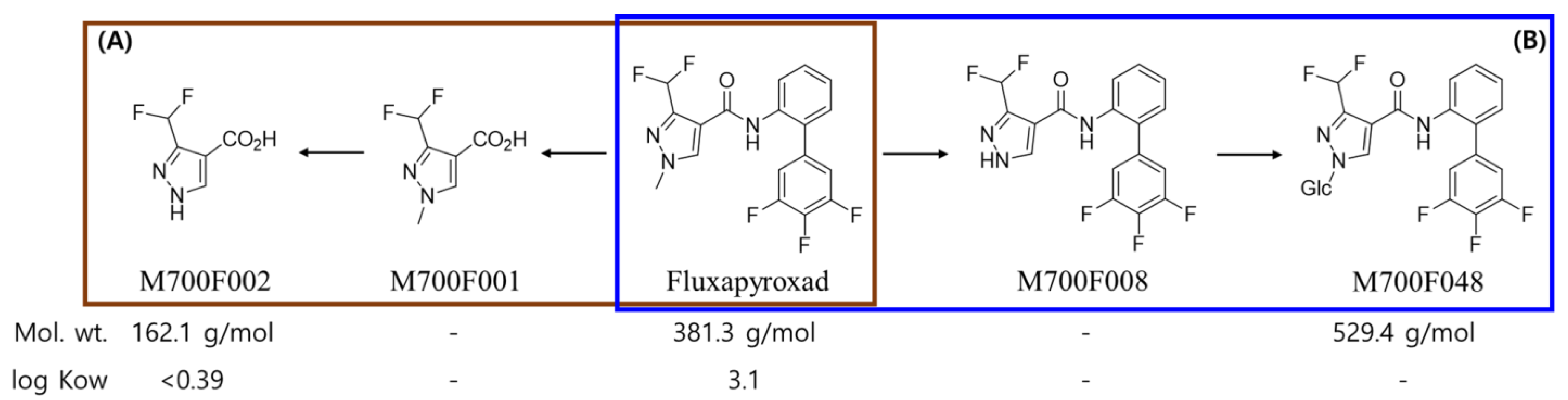 Plants 13 02448 g001