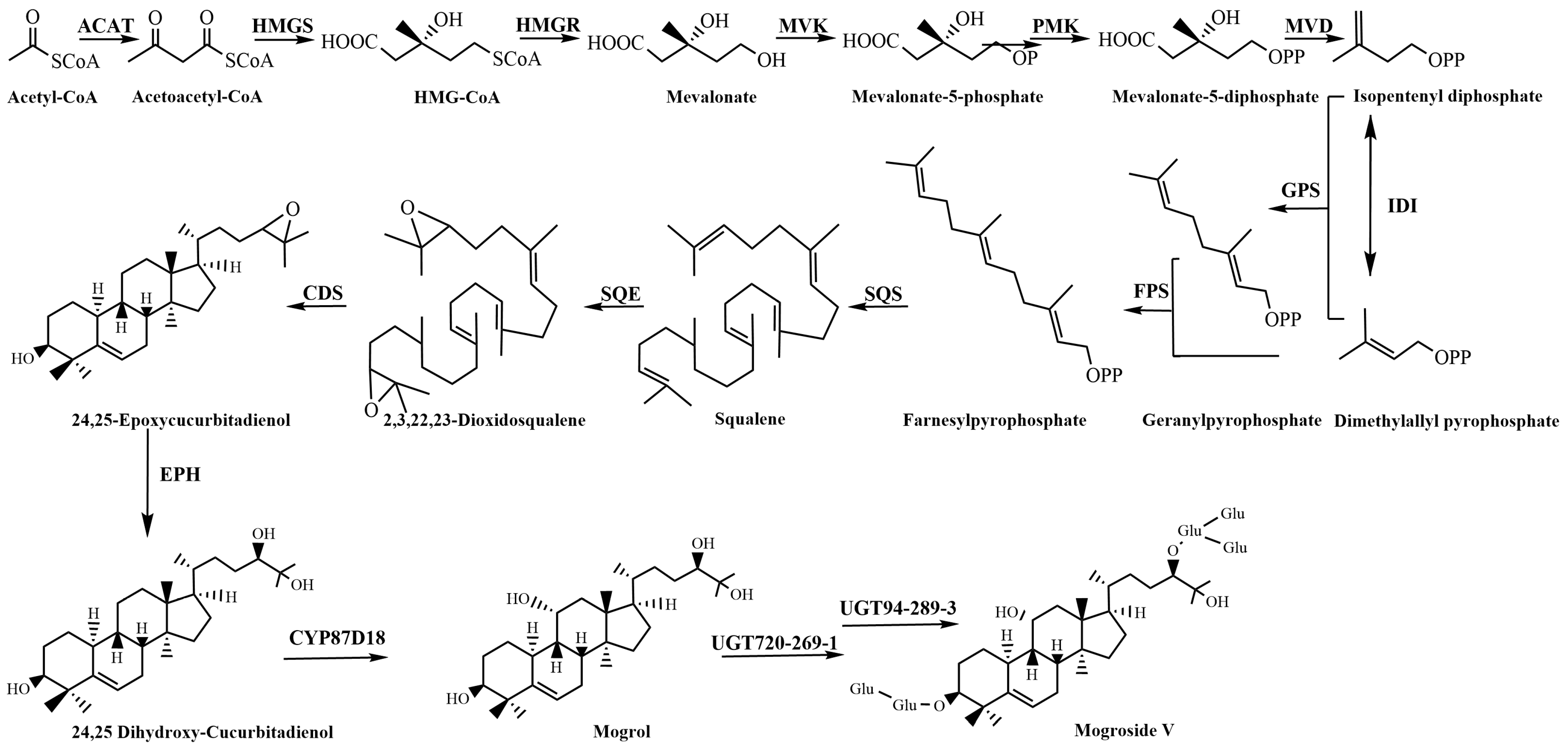 Plants 13 02449 g001