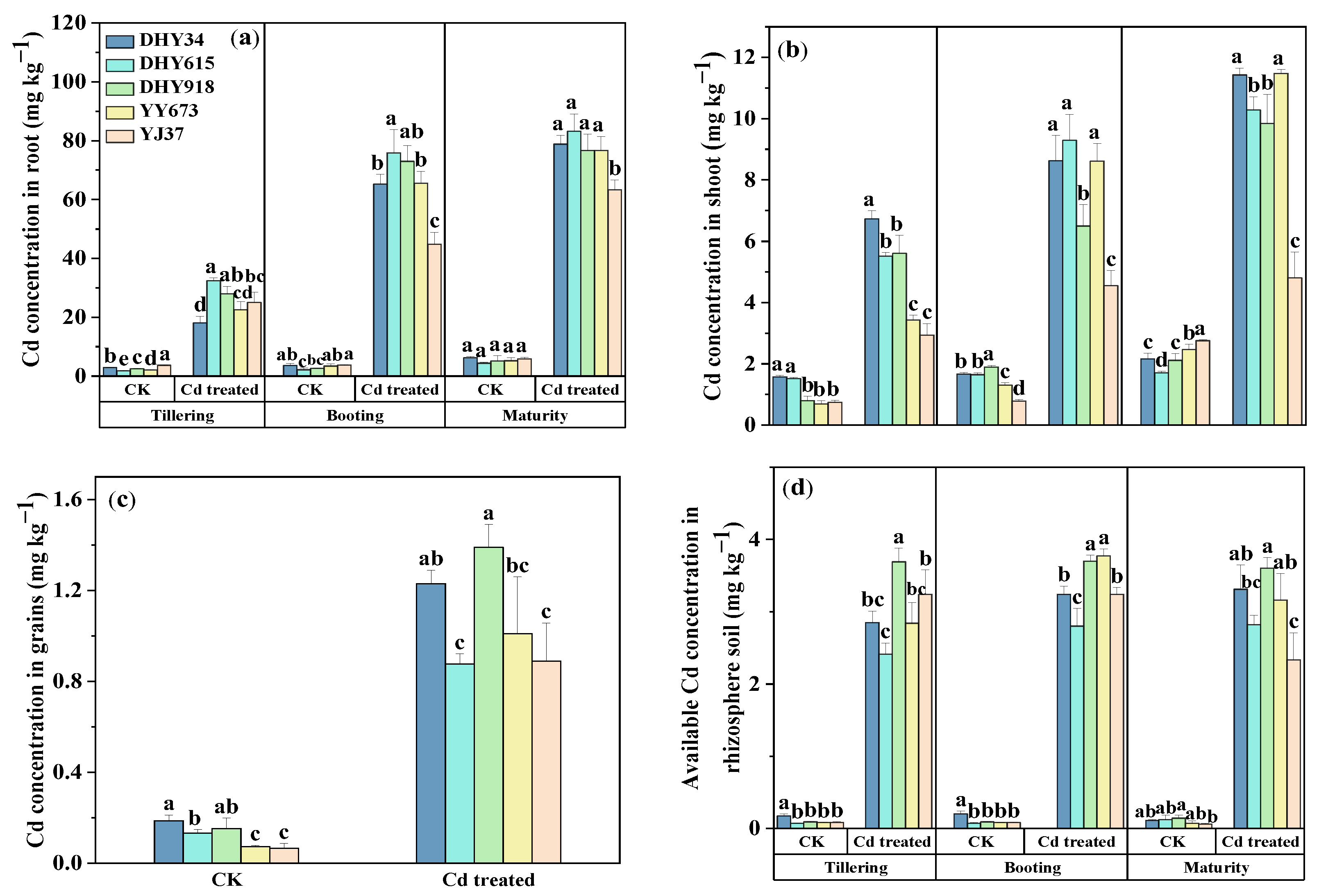 Plants 13 02457 g001