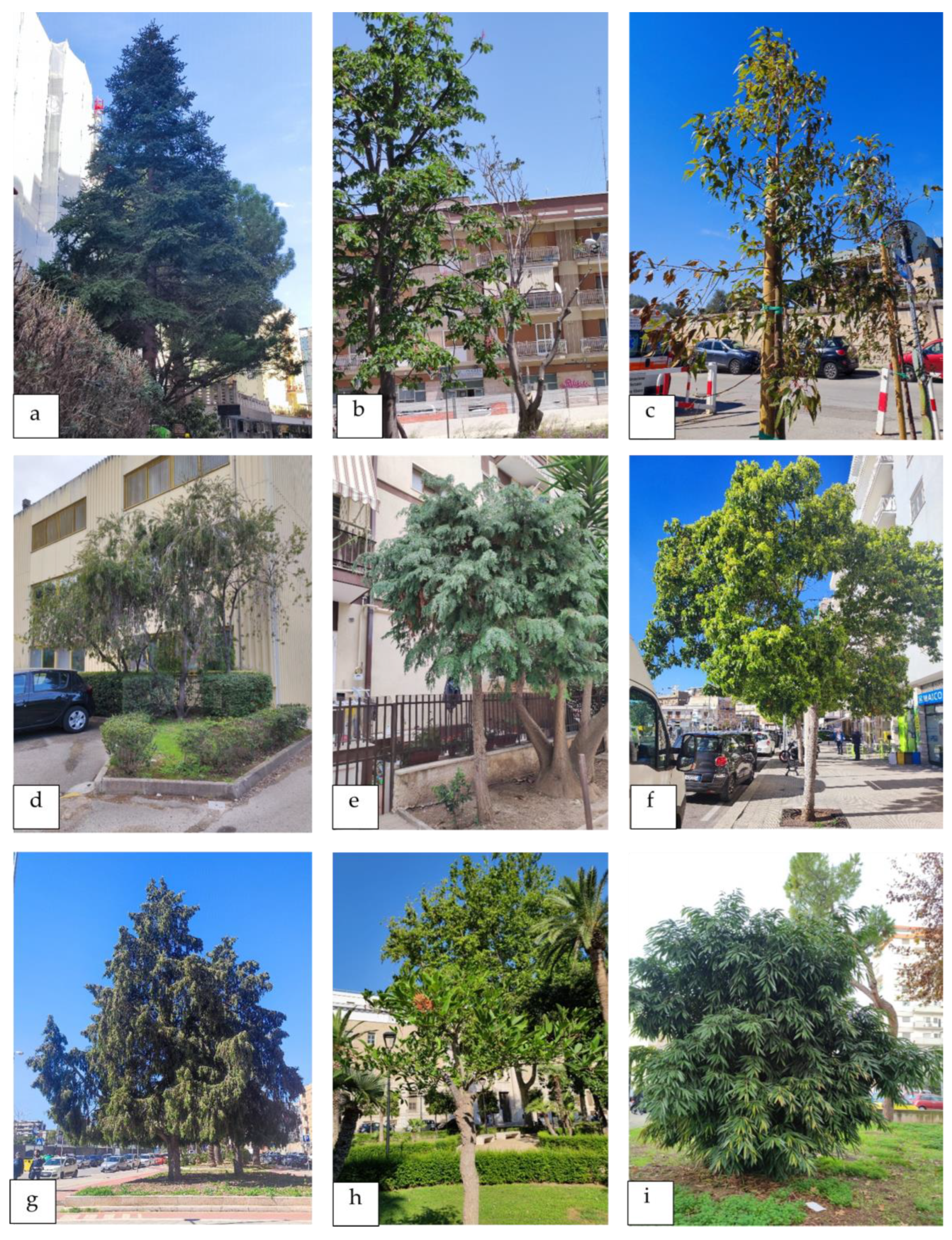 Plants 13 02463 g008