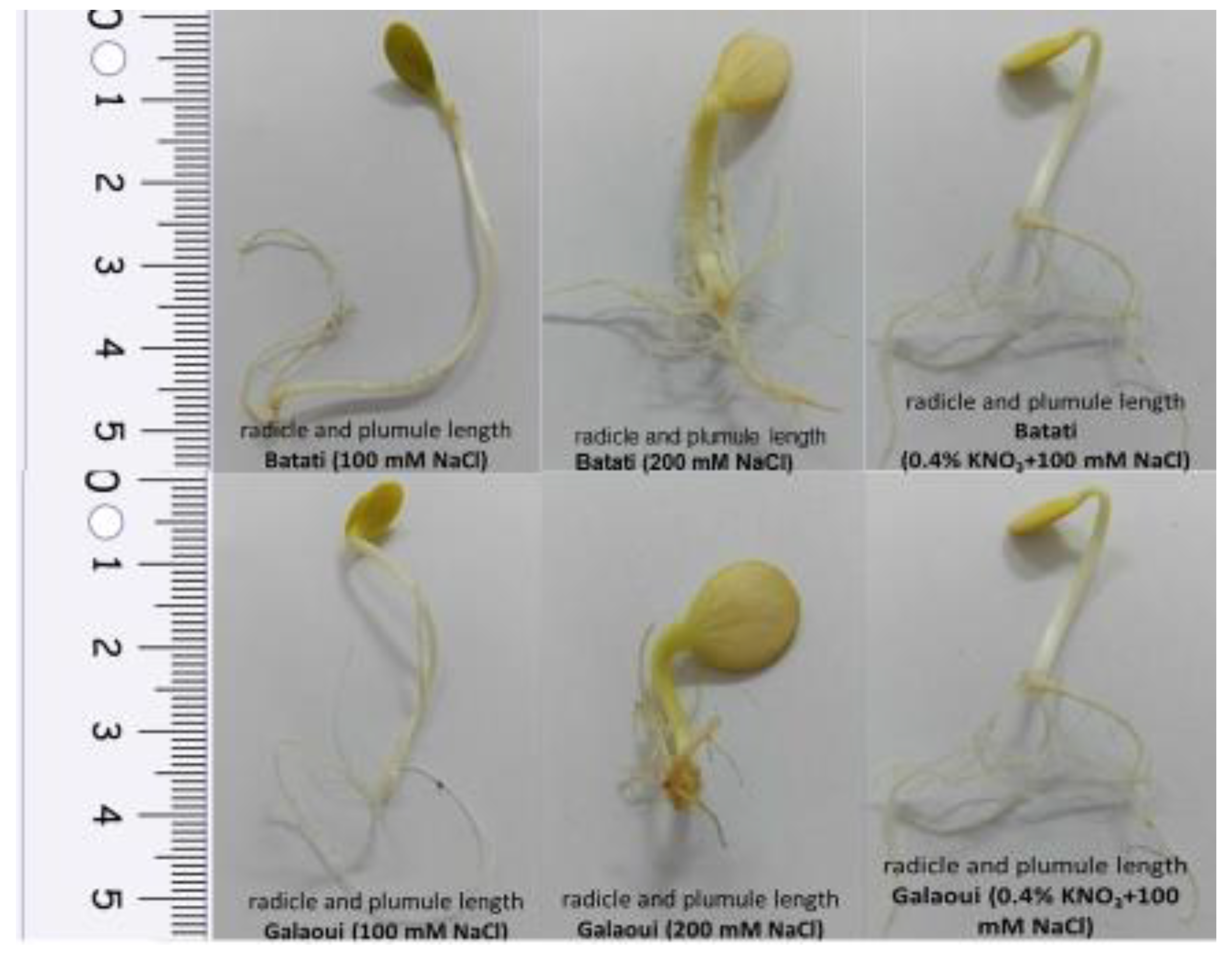 Plants 13 02464 g002 Plants 13 02464 g002