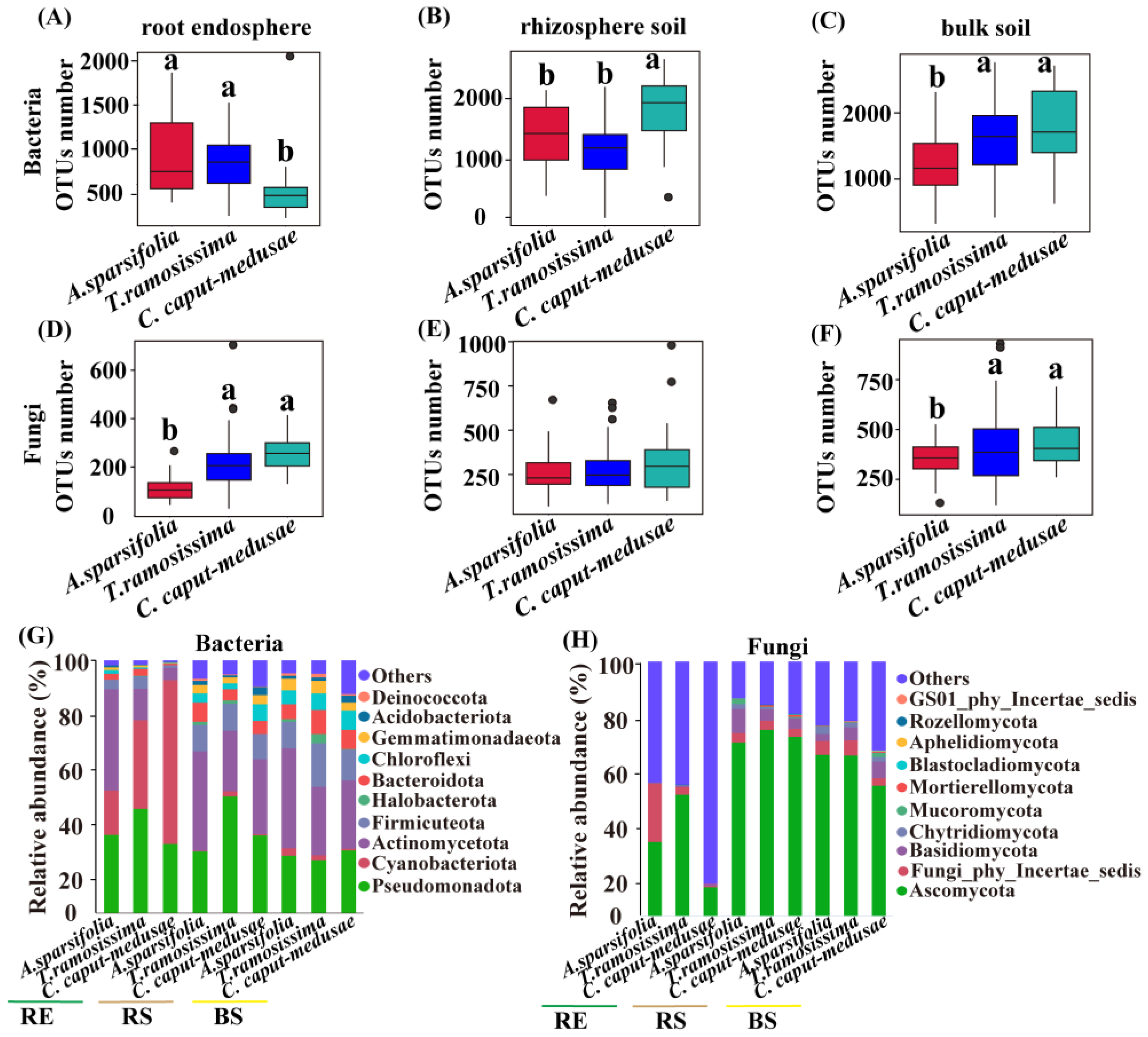 Plants 13 02468 g001
