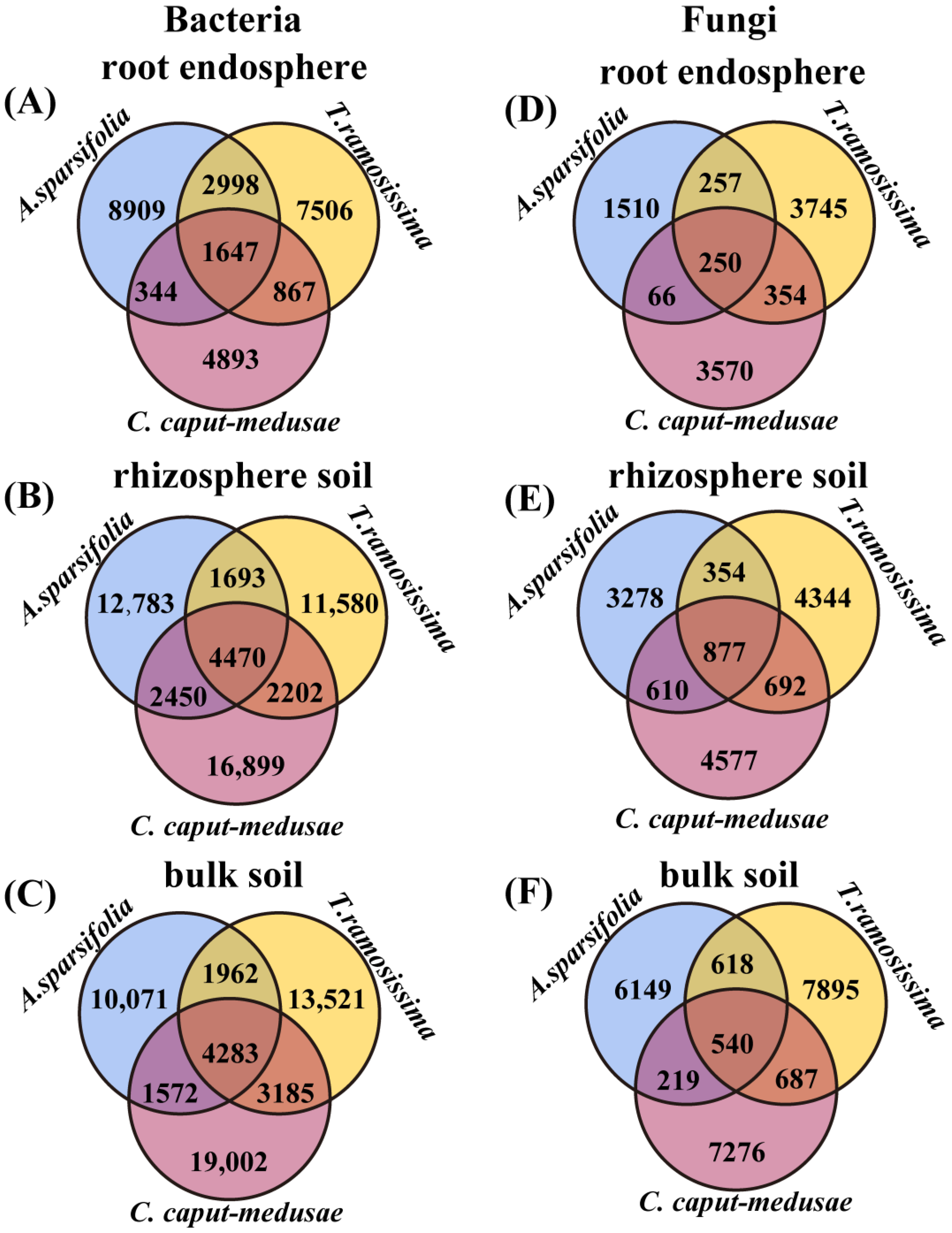 Plants 13 02468 g004