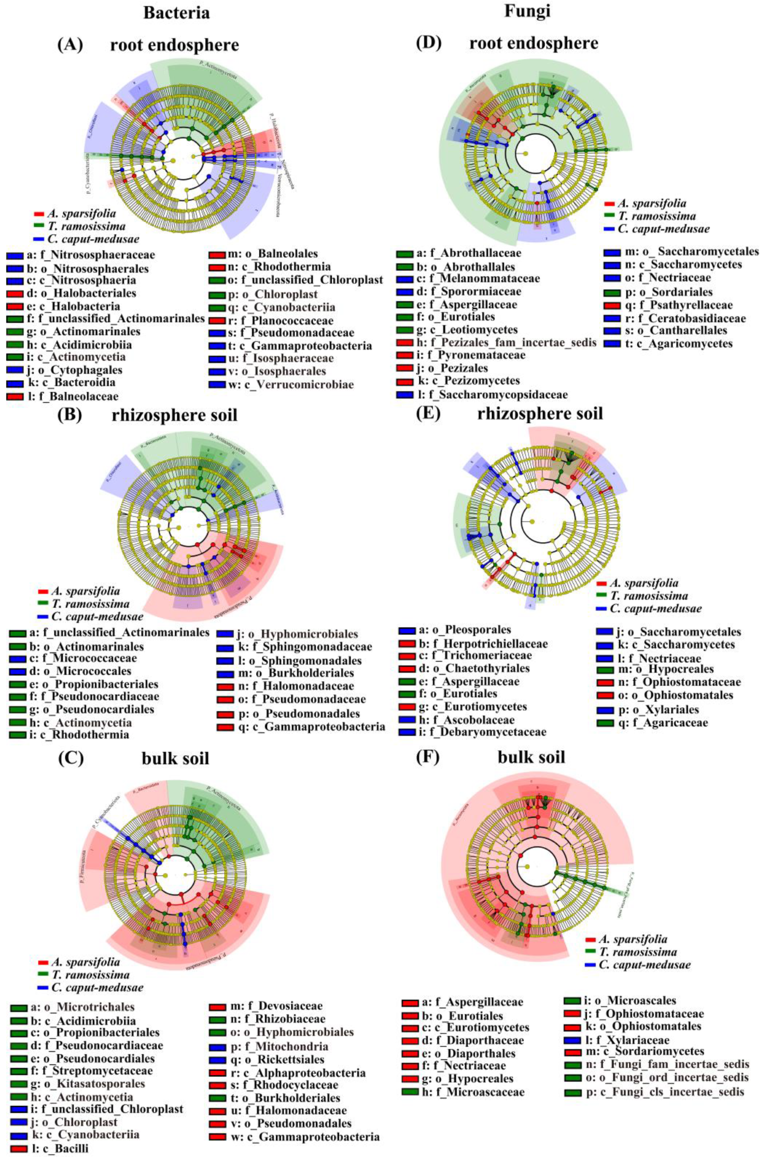 Plants 13 02468 g005