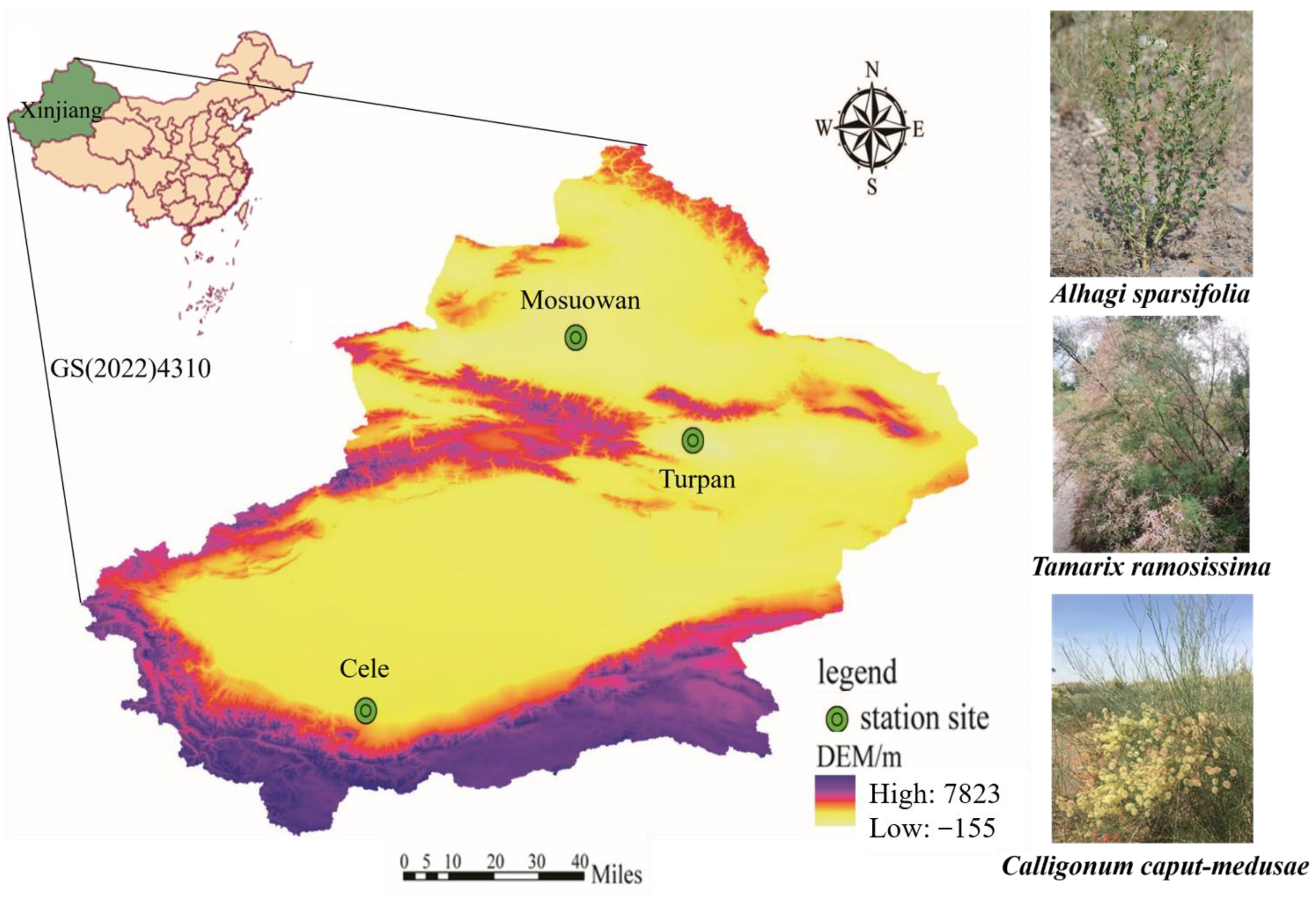 Plants 13 02468 g008