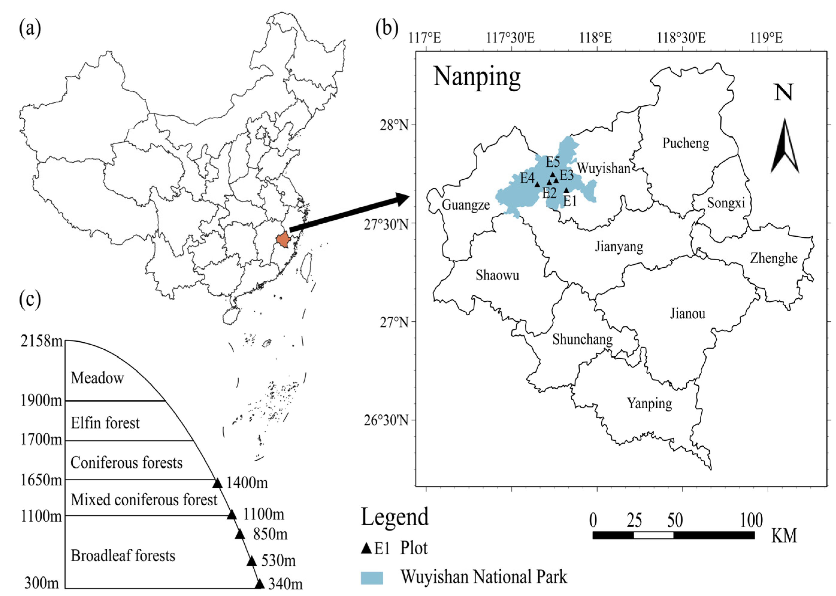 Plants 13 02471 g001