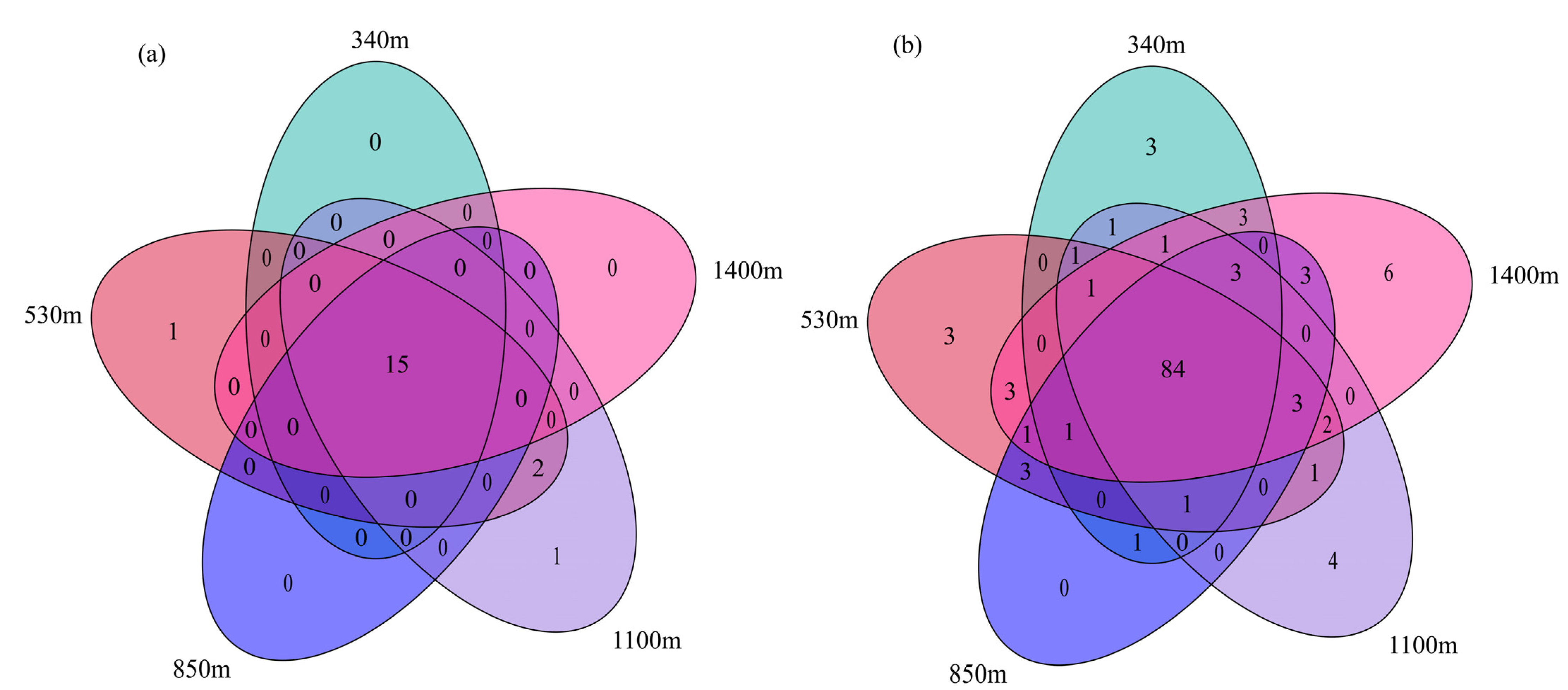 Plants 13 02471 g002