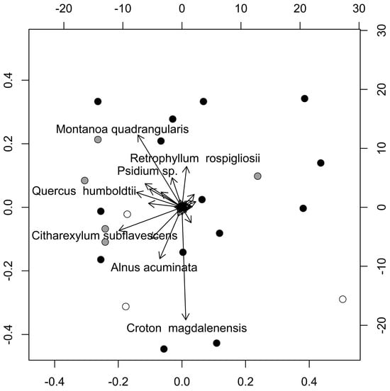Plants 13 02474 g0a1