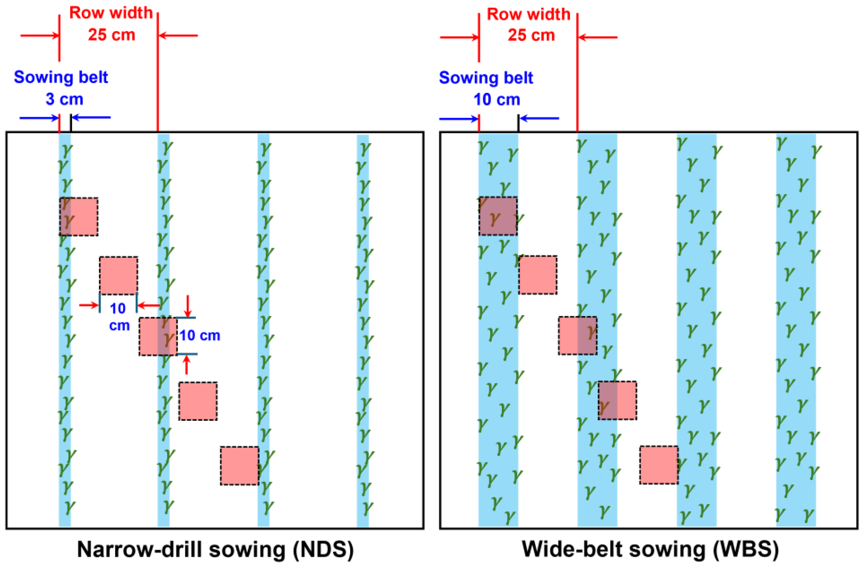 Plants 13 02476 g008