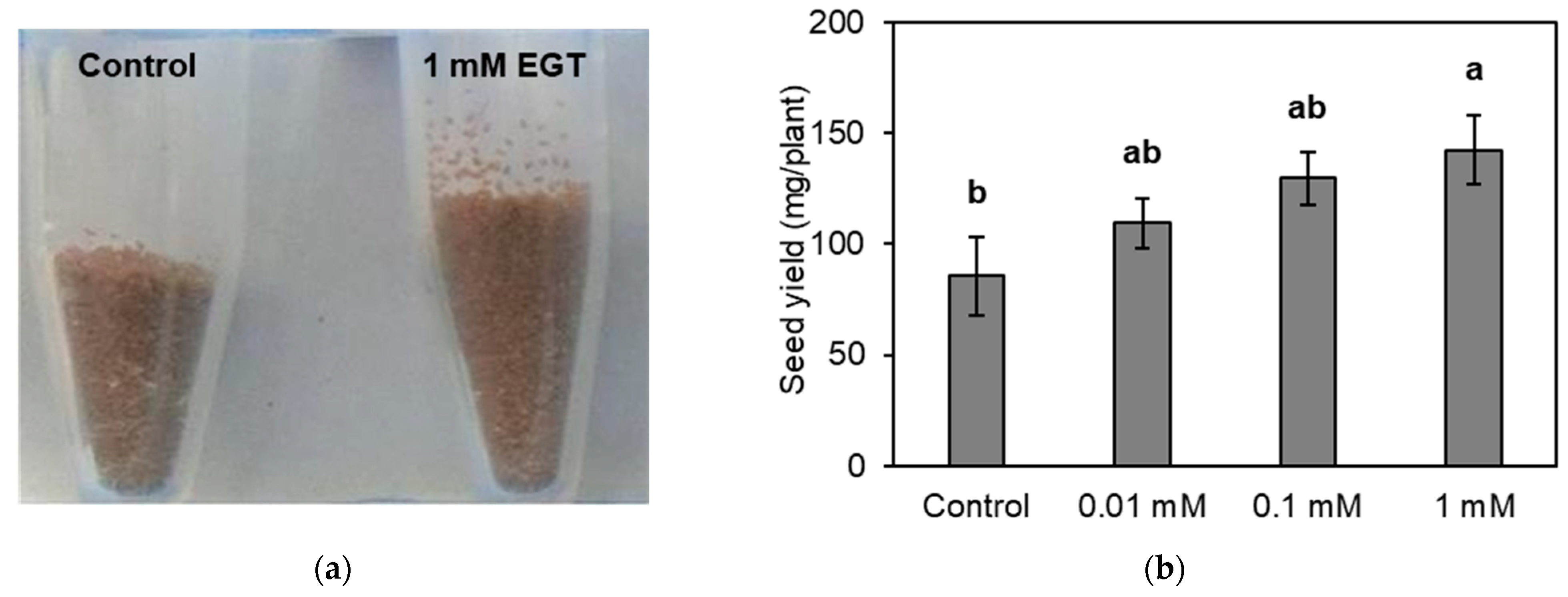 Plants 13 02487 g001