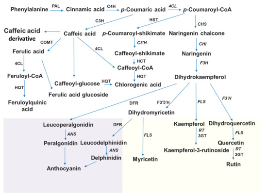 Plants 13 02489 g001