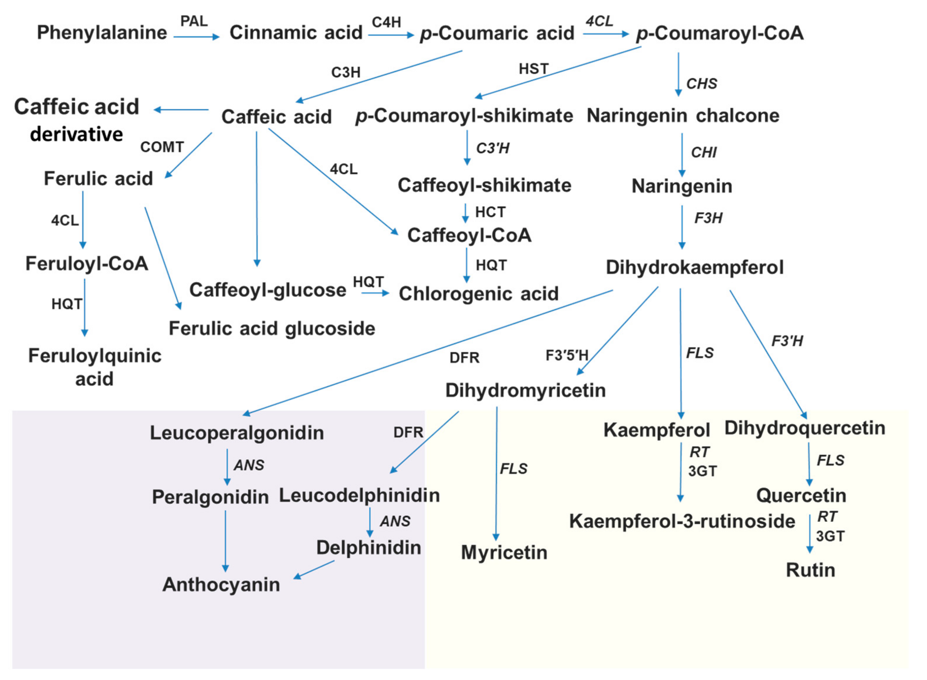 Plants 13 02489 g001