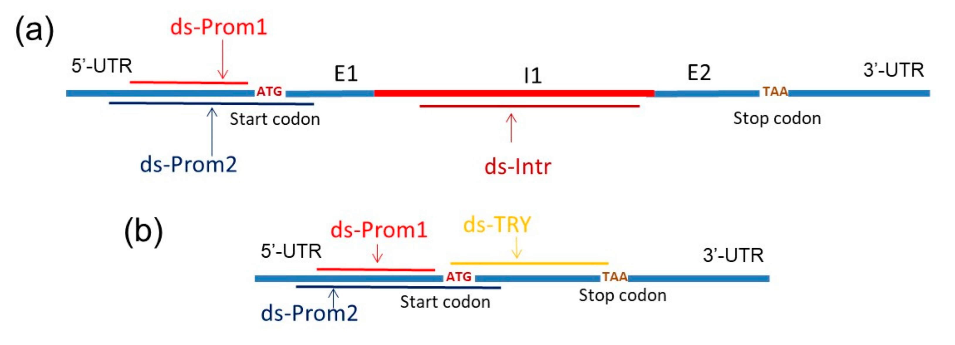 Plants 13 02489 g002