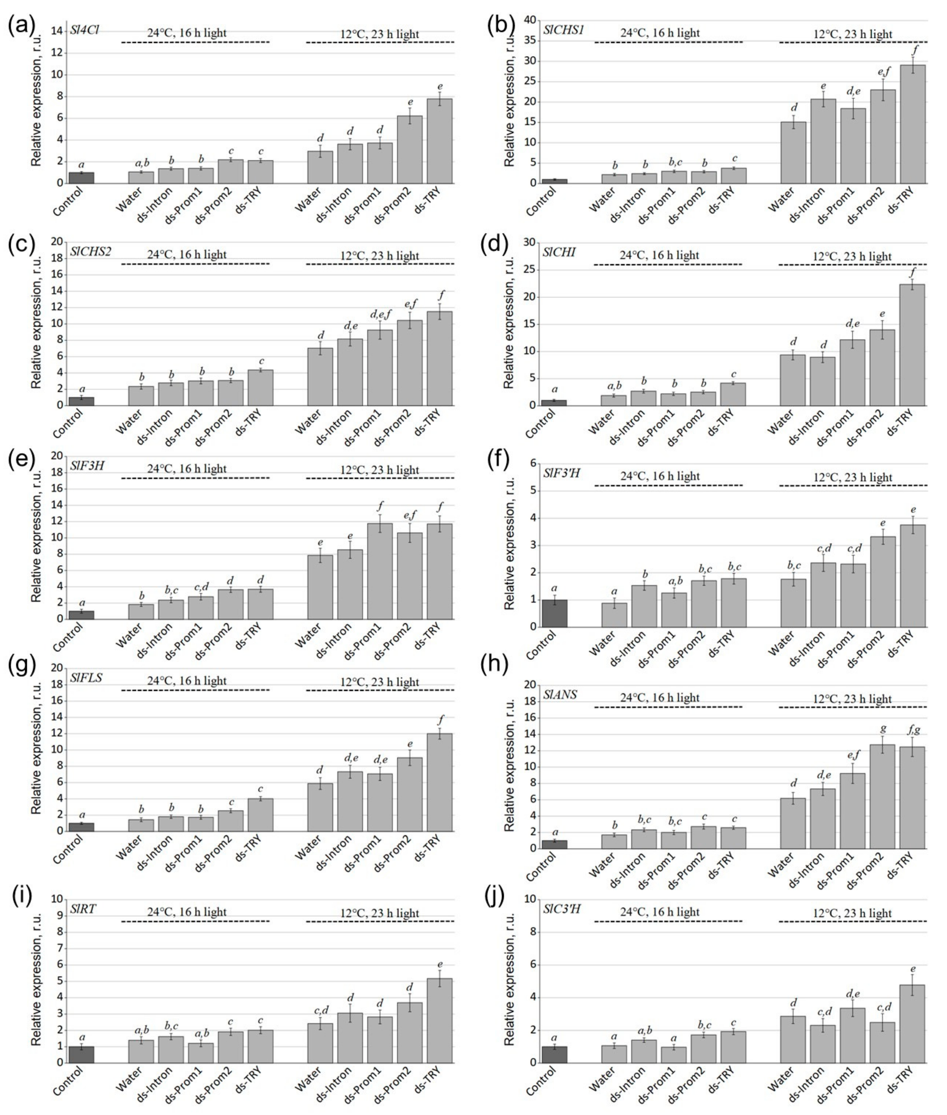 Plants 13 02489 g004