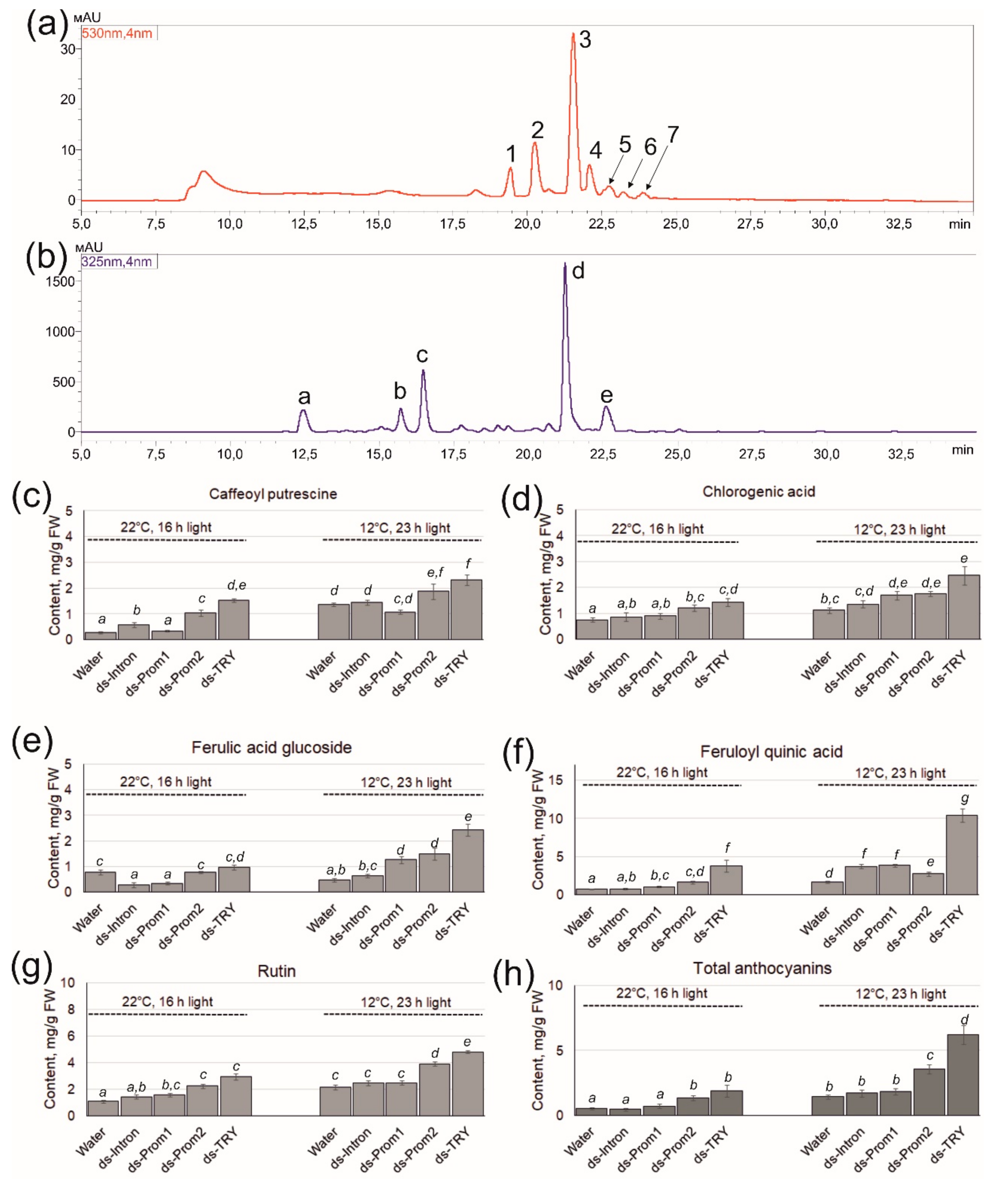 Plants 13 02489 g005