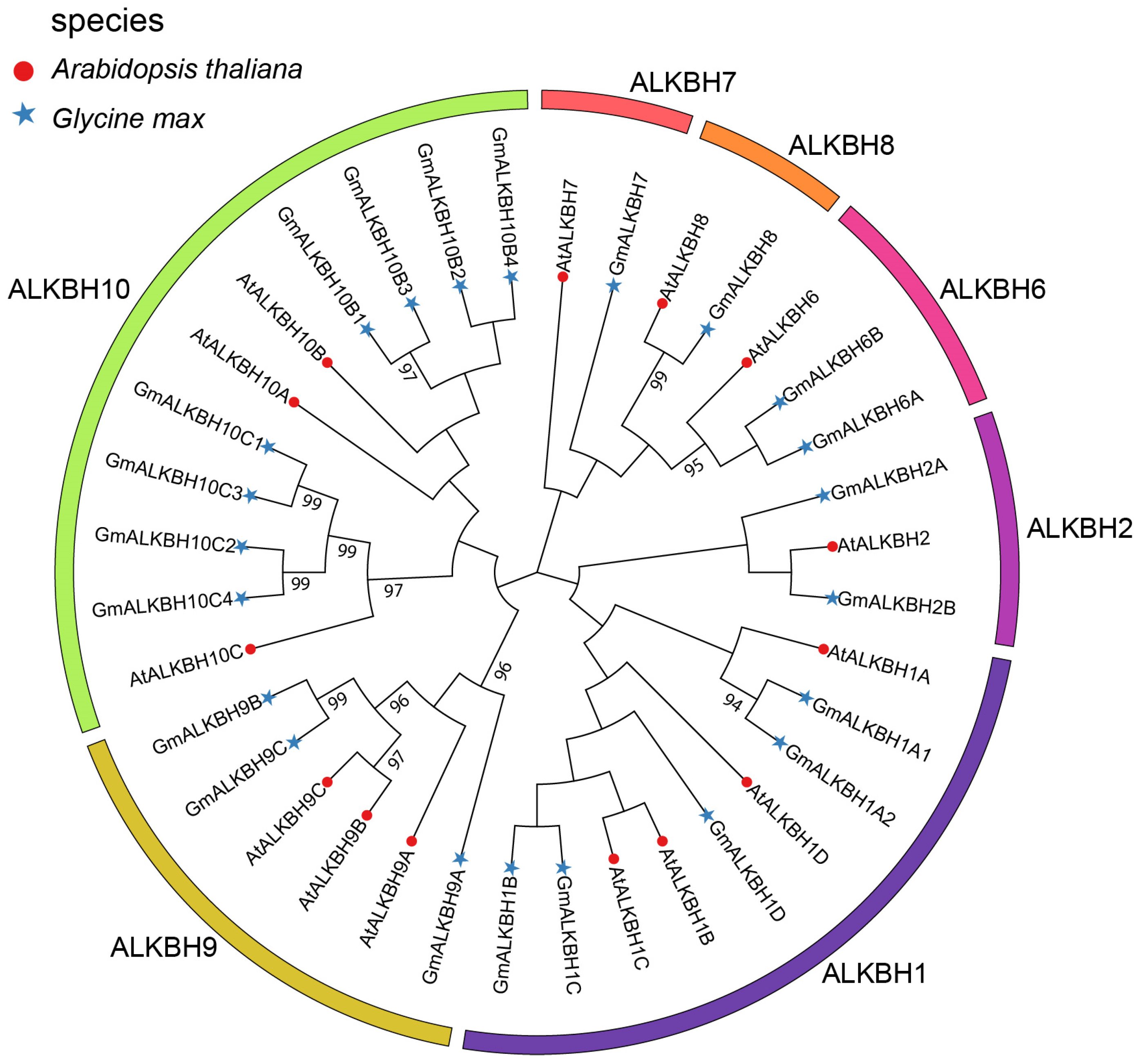 Plants 13 02491 g001