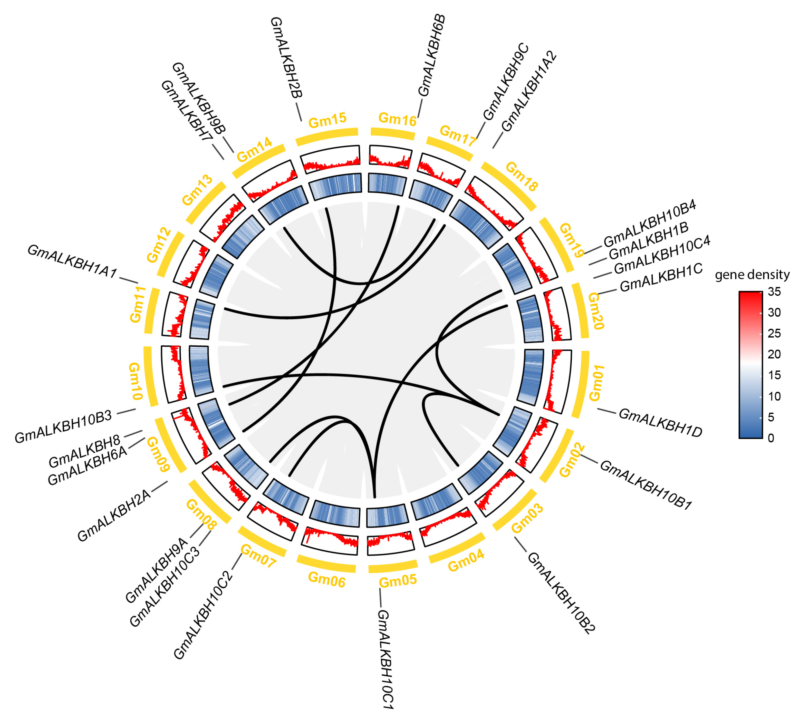 Plants 13 02491 g002