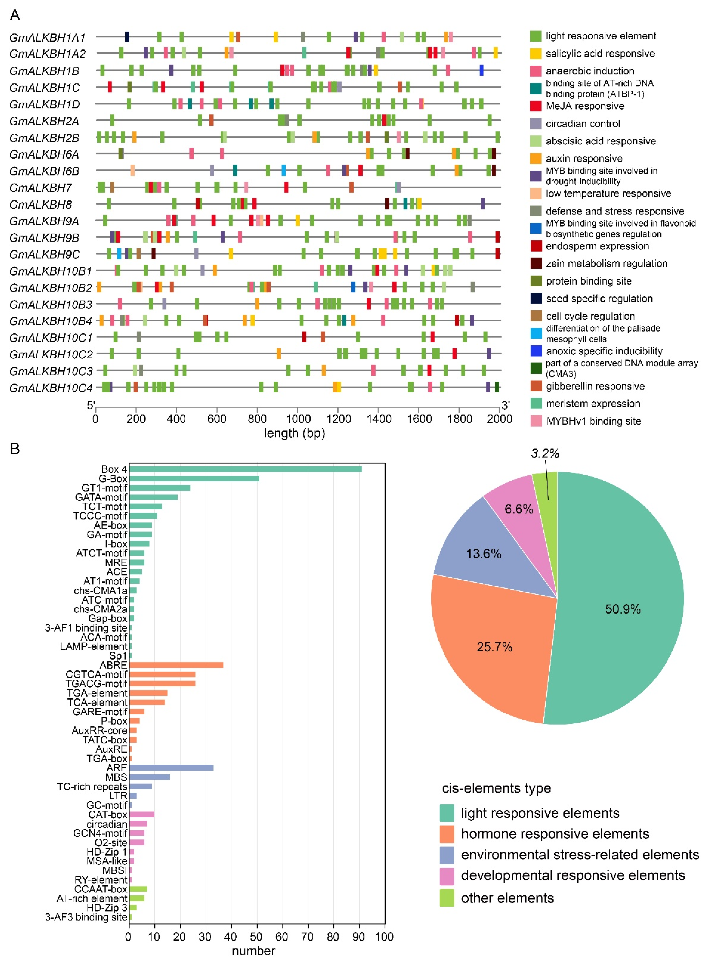 Plants 13 02491 g004