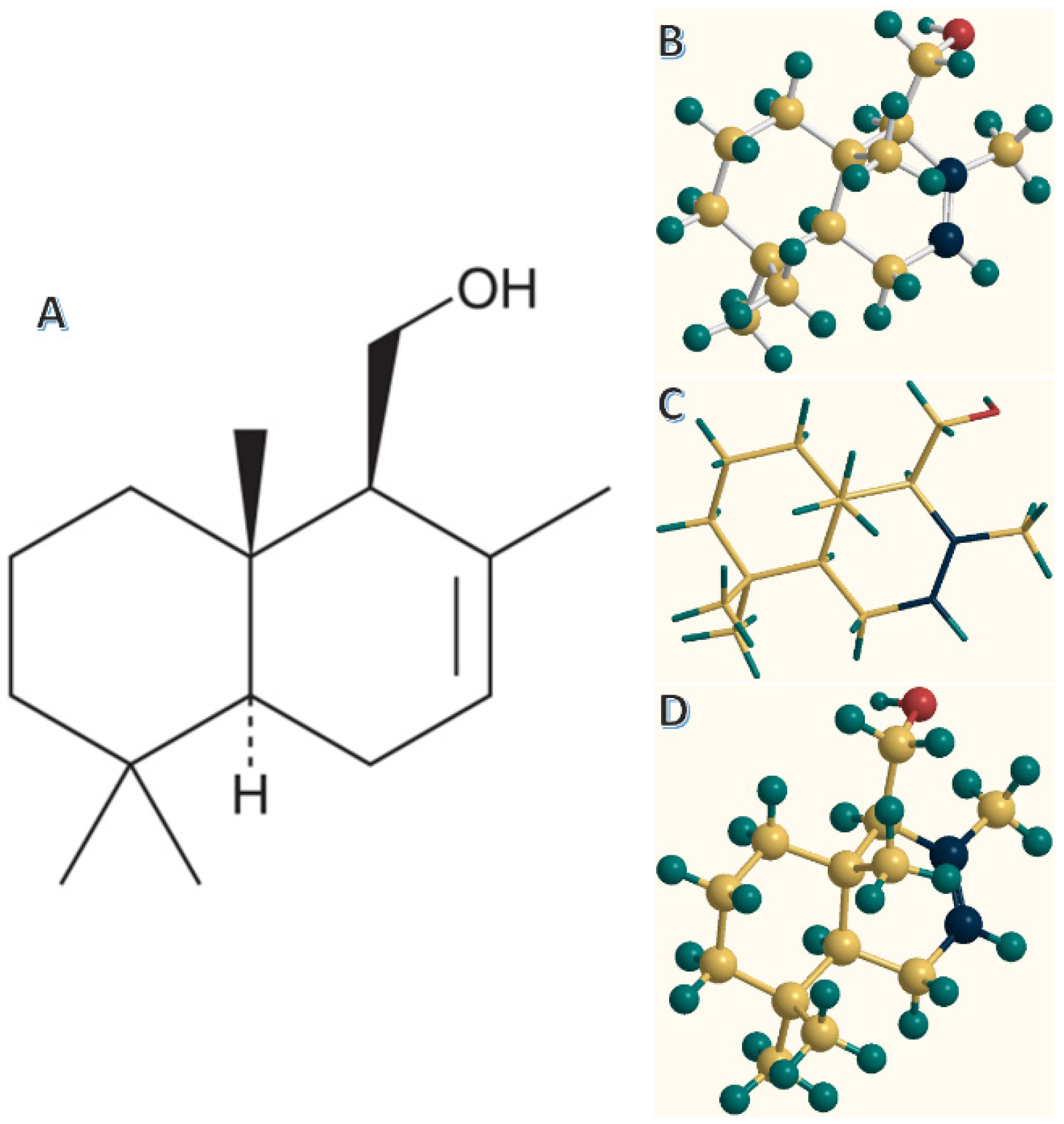 Plants 13 02492 g001